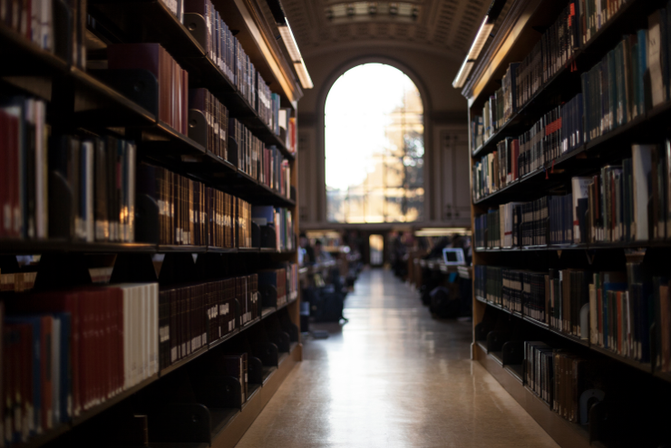Bookshelves in a library with a hallway leading to a large window showing a tree and building outside.