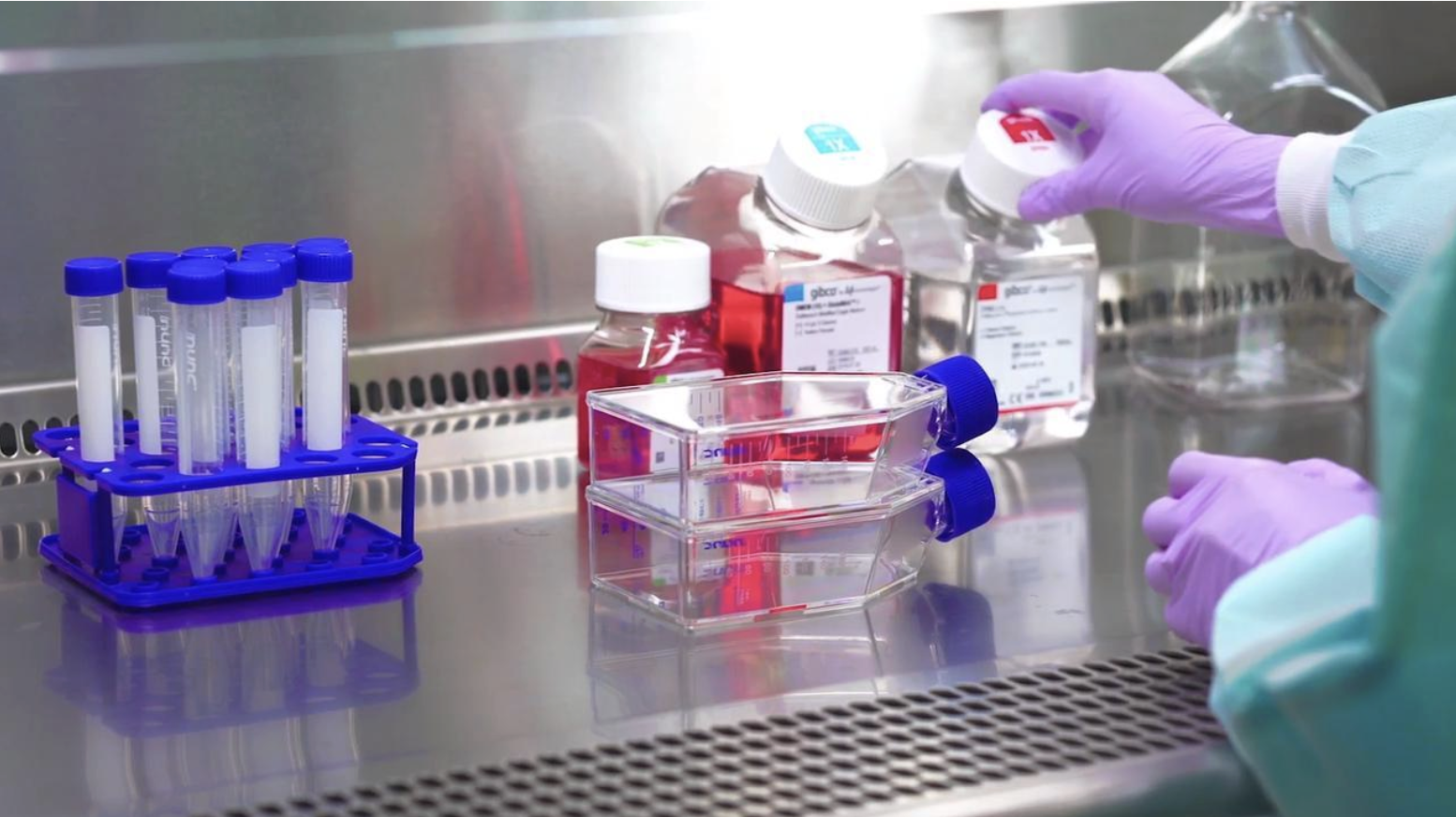 Laboratory scientist handling sterile bottles and test tubes with purple gloves on a metal work surface.