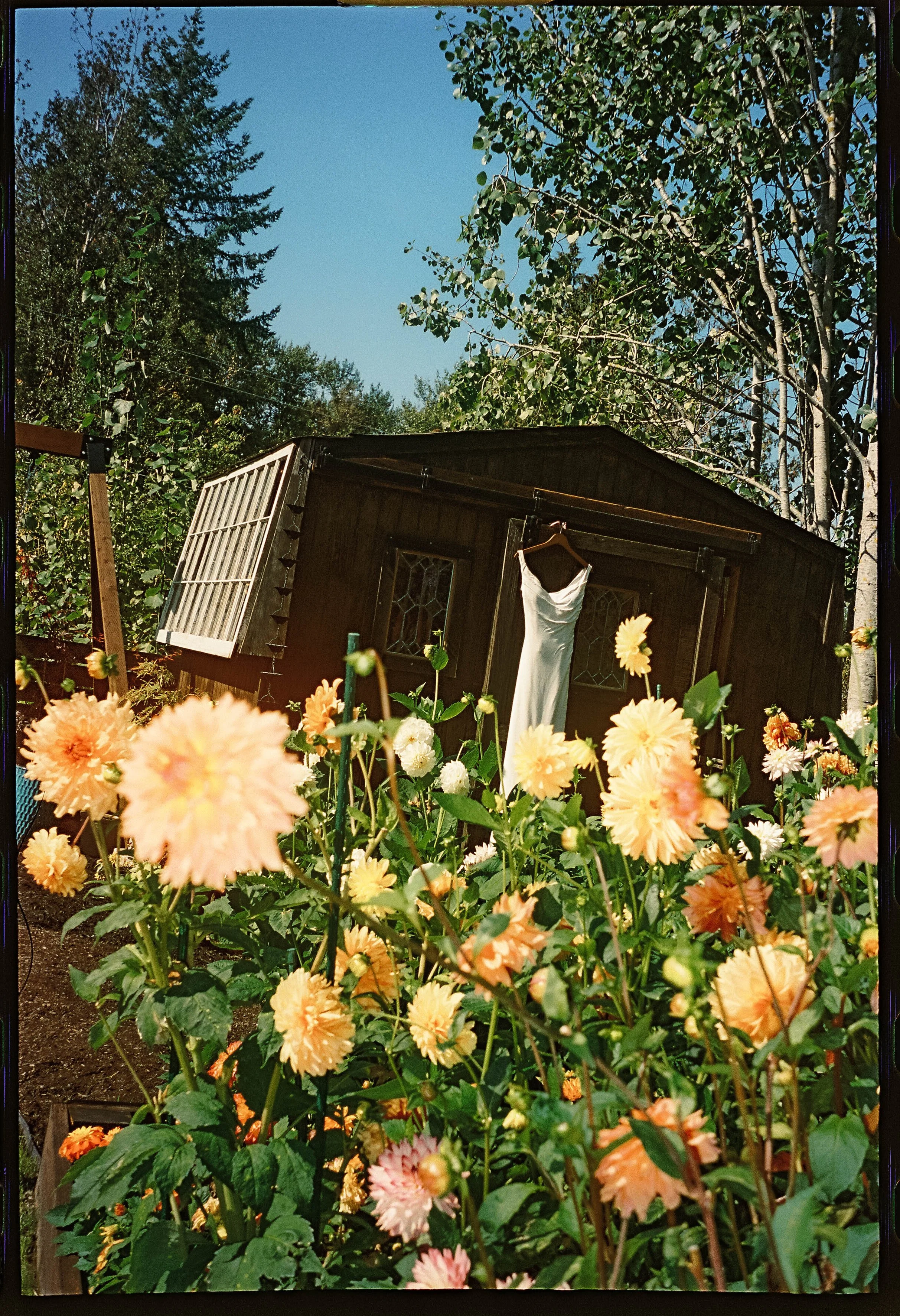 true to color, film photographer