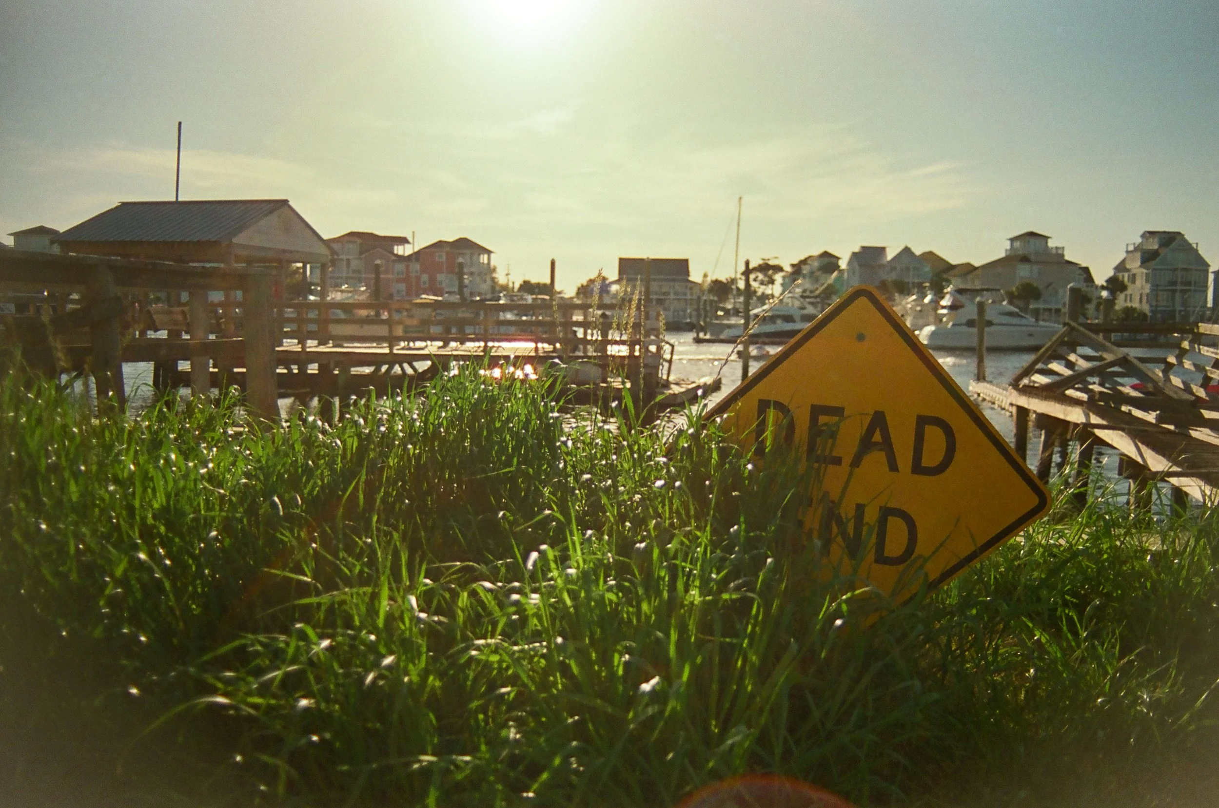 Dock area with boats, houses in the background, overgrown grass in the foreground, and a yellow 'Dead End' sign partially obscured by grass, during daytime with sunlight.