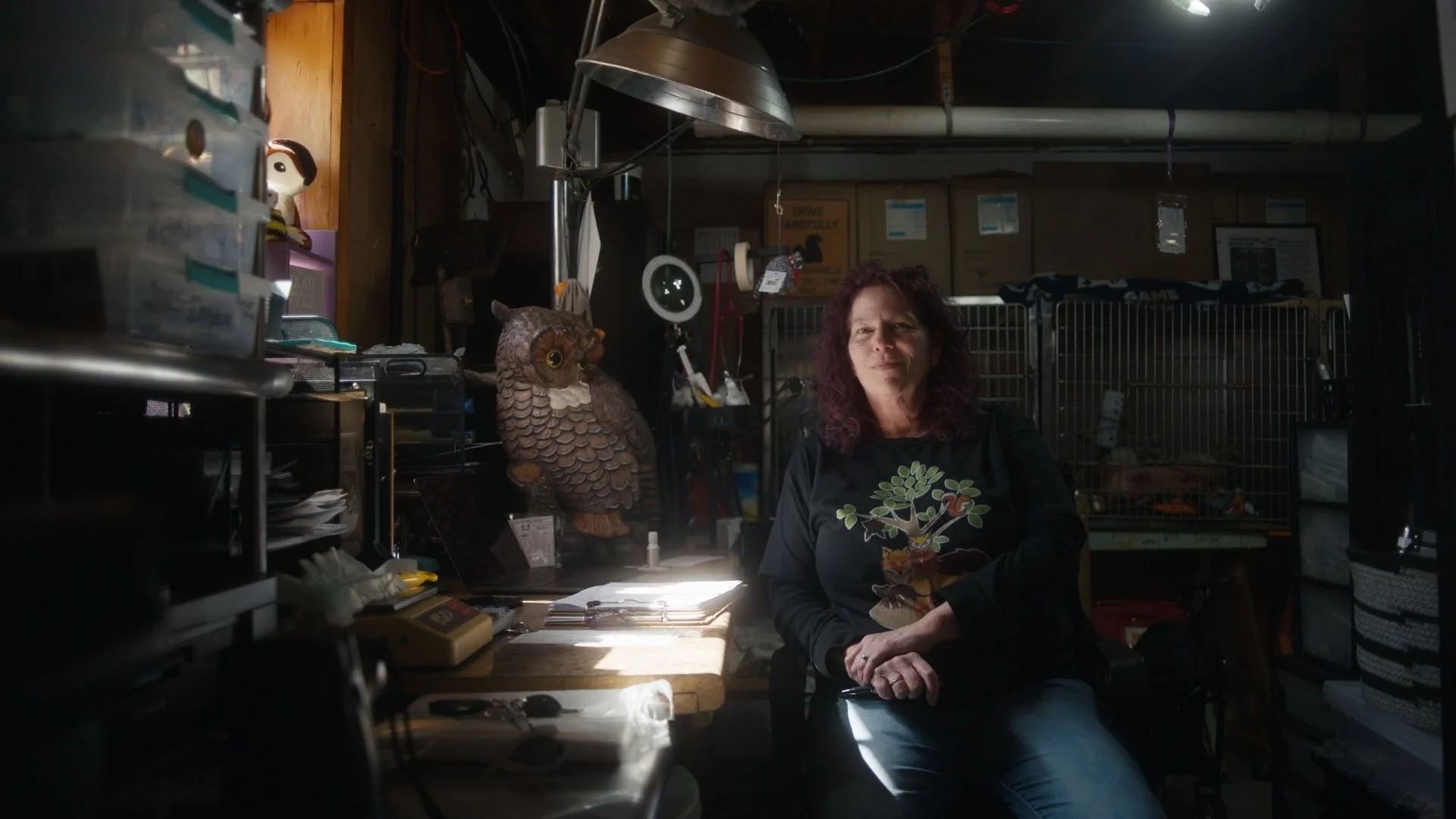 FILM CUT - BAT OPEN_00_19_18_15.jpg