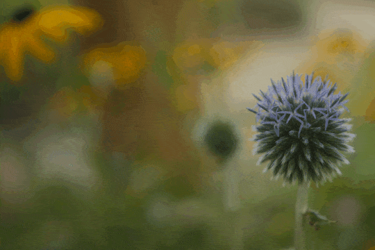 Montage of video clips shot for a commercial campaign with Long's Jewelers.