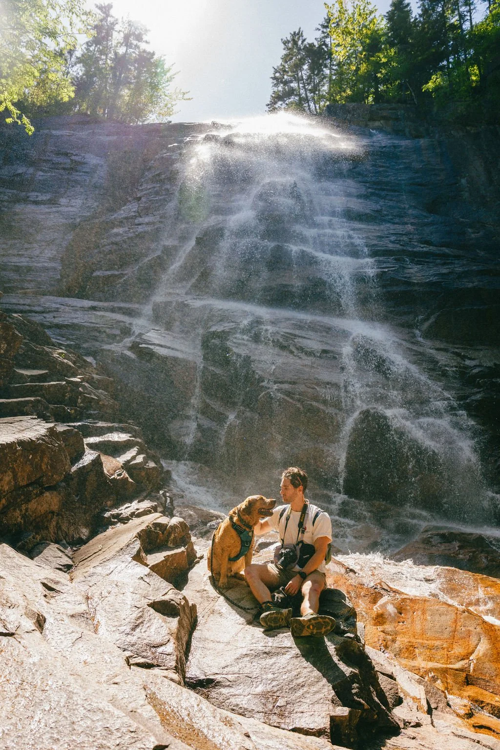 A person sitting on rocks next to a waterfall with a large dog, both facing each other. The waterfall is cascading down a rocky cliff, with trees and sunlight in the background.