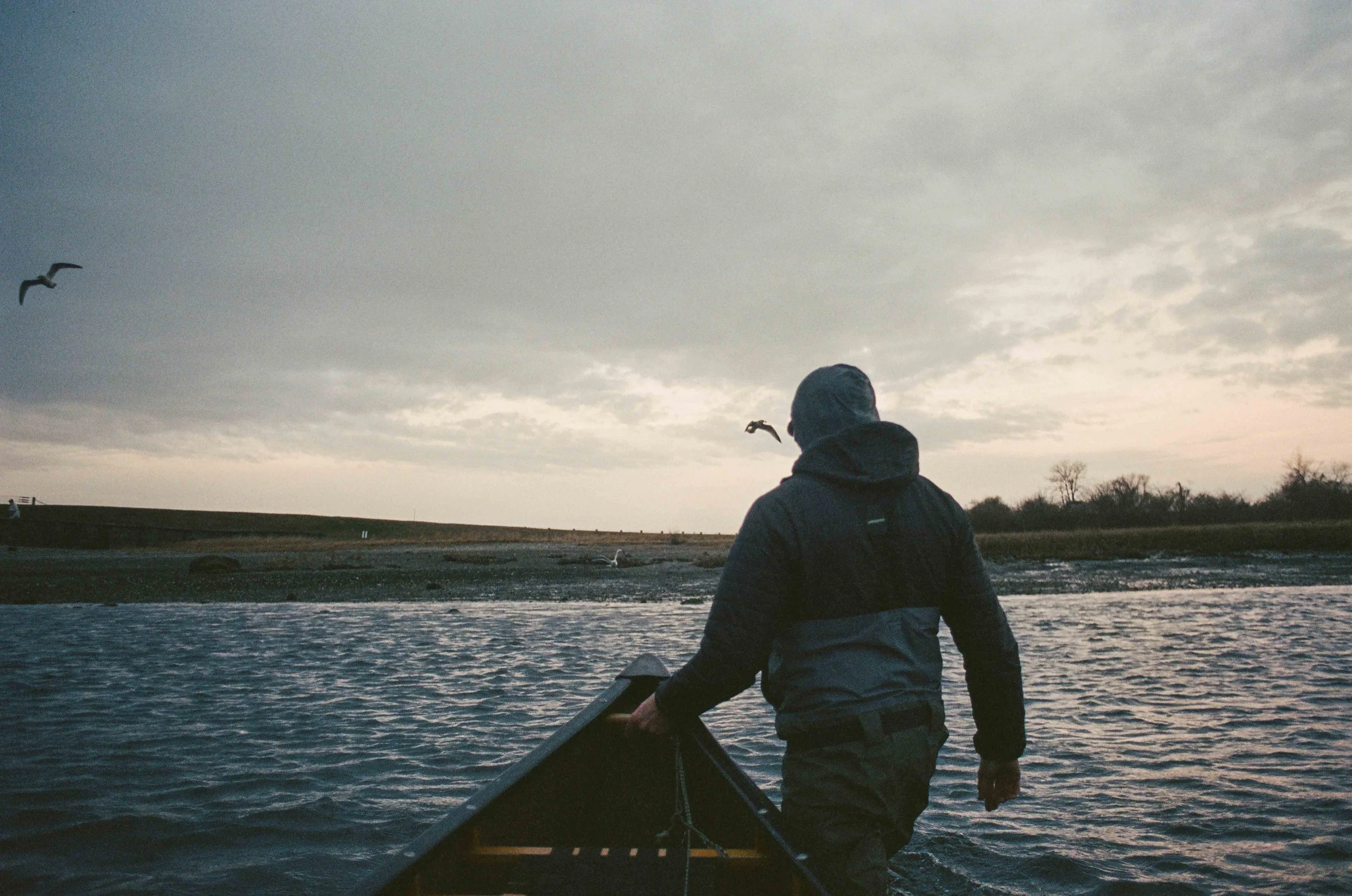 Person in a life jacket walking a boat on the water at sunset or sunrise, with birds flying overhead and a landscape of trees and grass in the background.