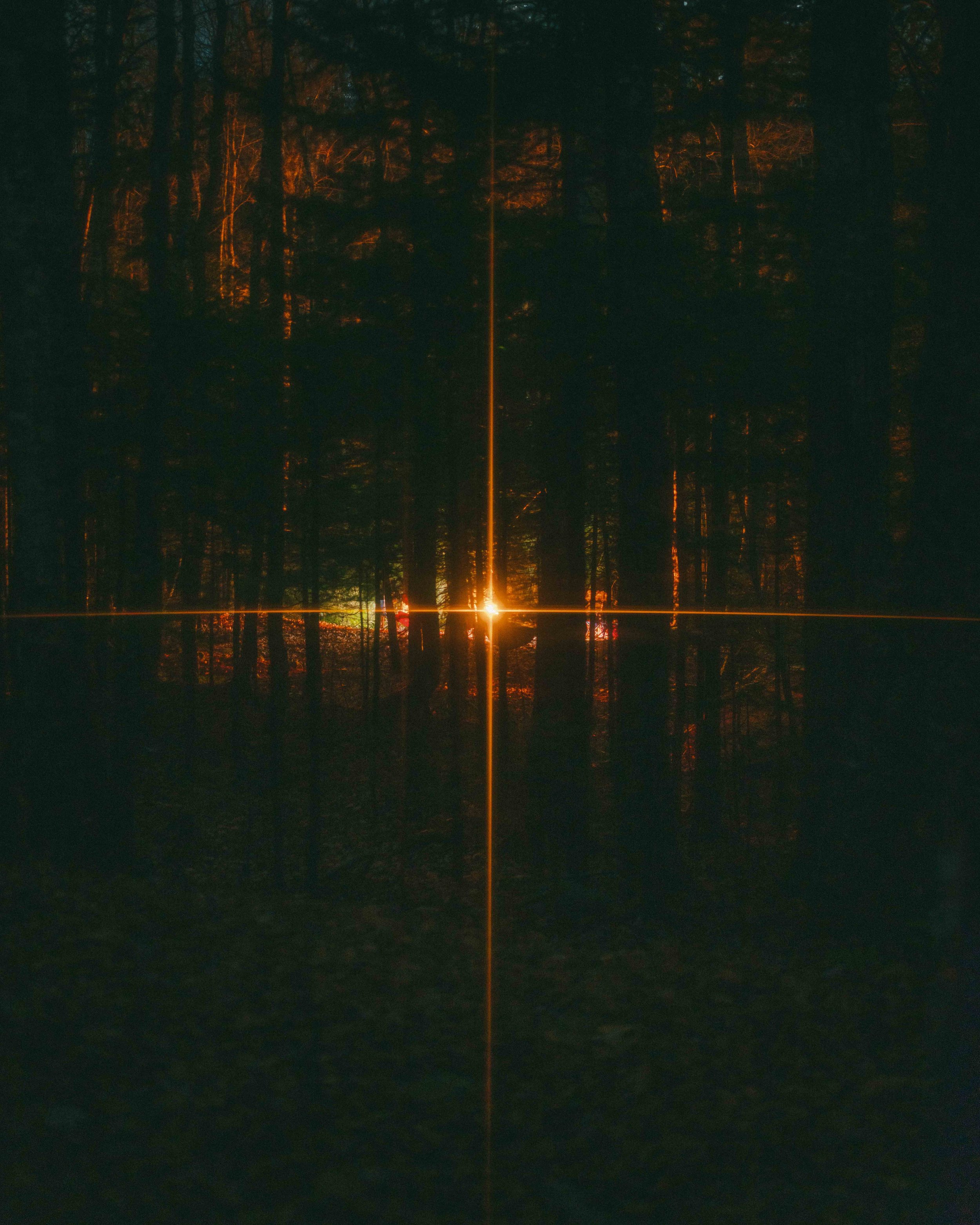 A camp fire radiating a burst of light through a thick forest.