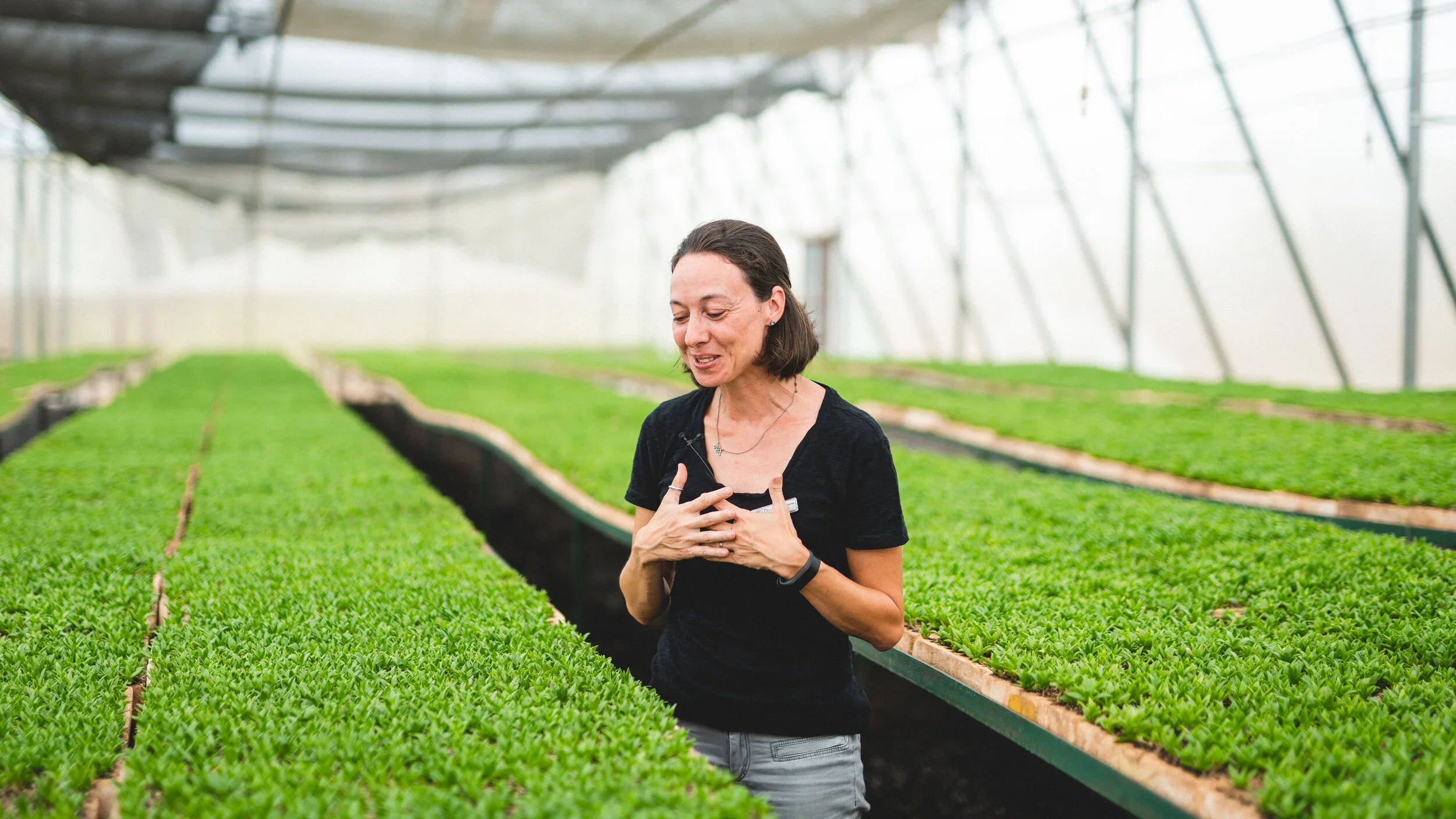 A woman in a black shirt standing among green leafy plants in a greenhouse, smiling and holding her hands over her chest.