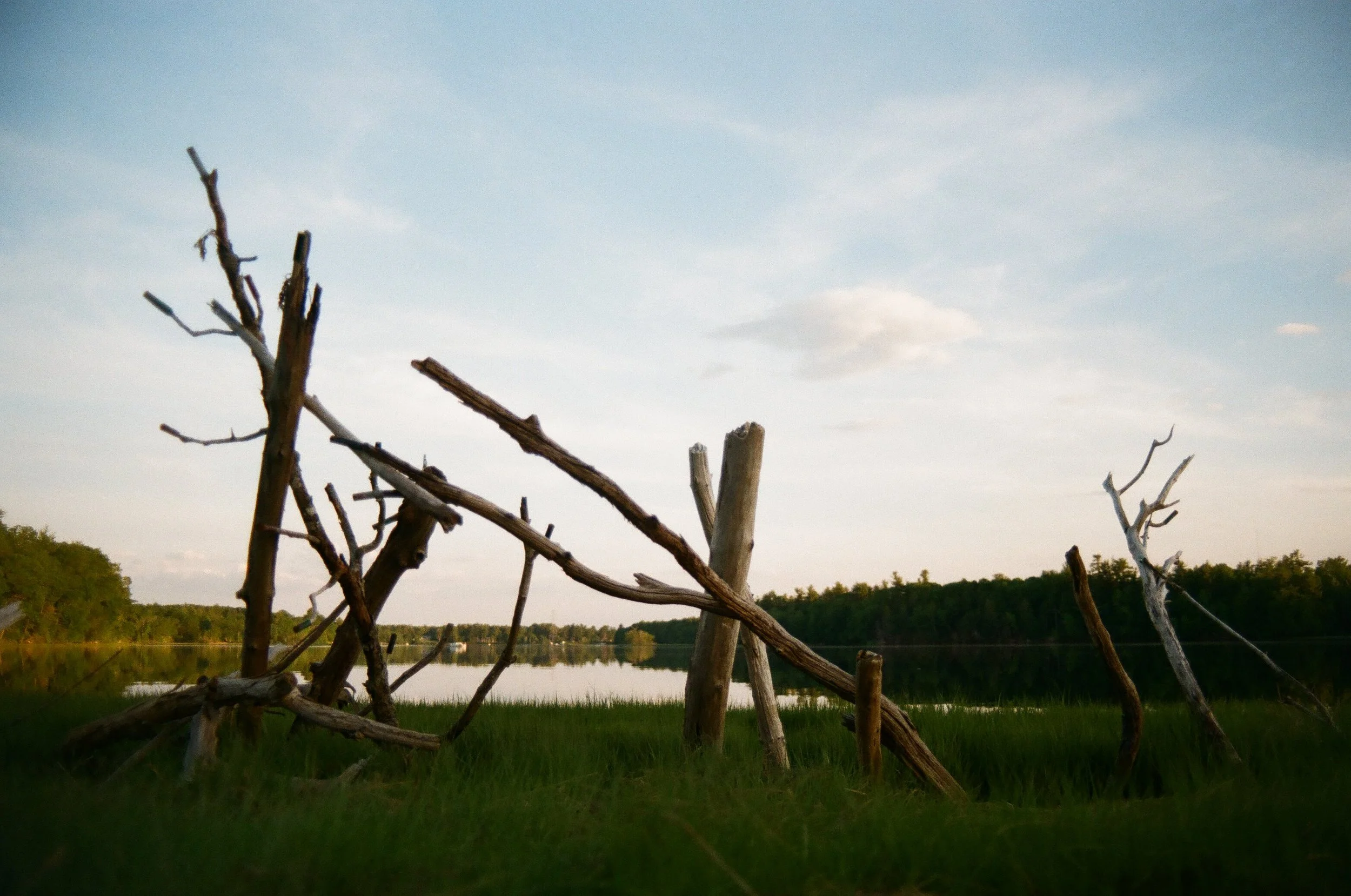 An outdoor scene with a lake in the background, trees along the shoreline, and a makeshift, weathered wooden structure or sculpture made of fallen and standing branches in the foreground, set against a partly cloudy sky.