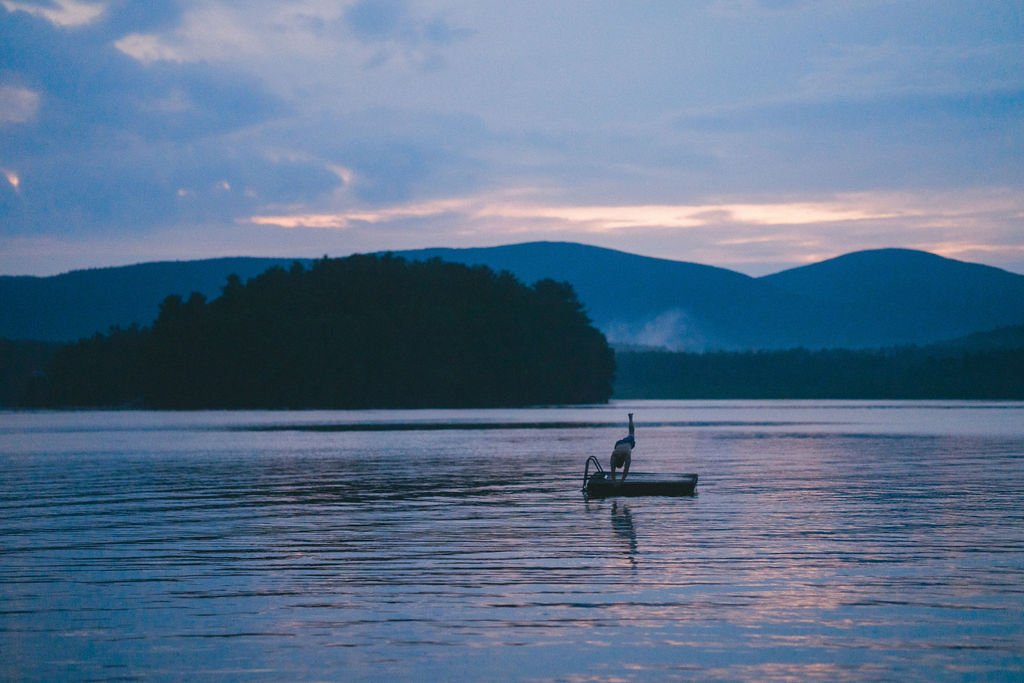 A swan on a small boat floating on a lake at sunset, with mountains and trees in the background.
