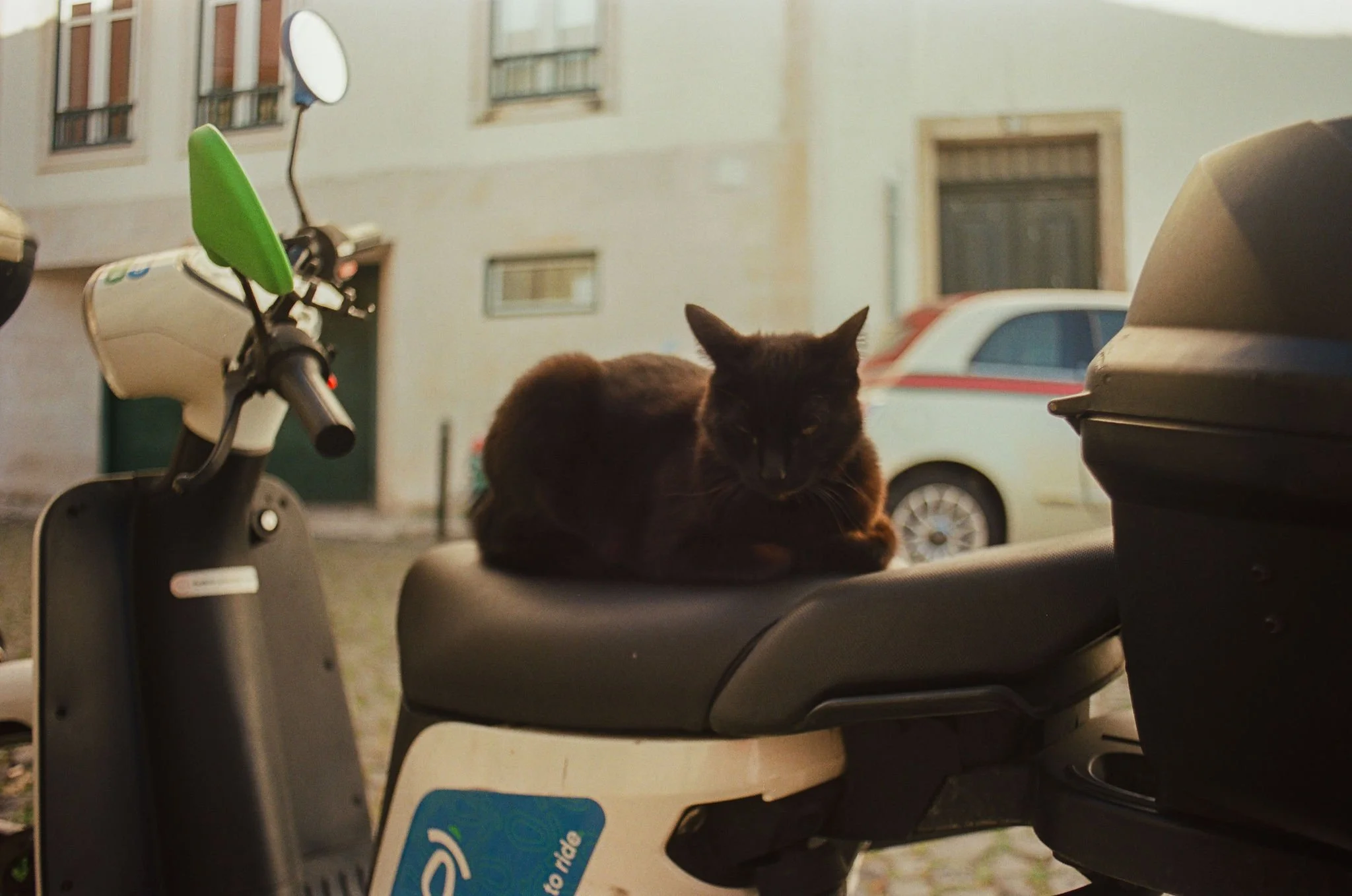 A black cat is resting on the seat of a scooter parked on a street in front of a building and a vintage car.
