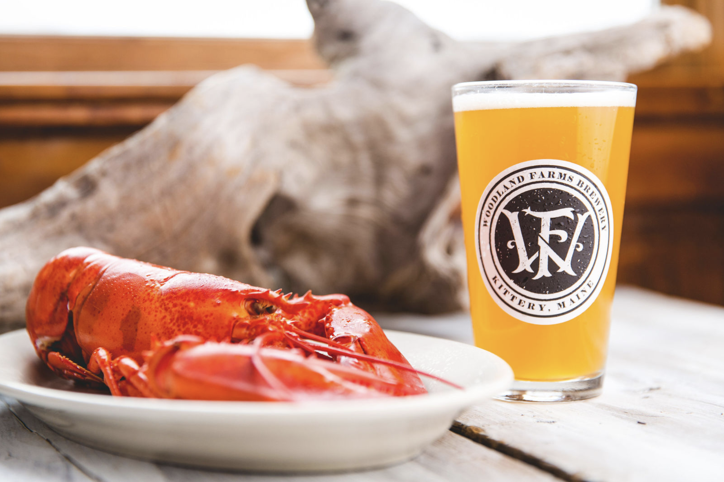 Lobster on a white plate next to a glass of beer with a logo for Woodland Farms Brewing in Kittery, Maine, on a wooden surface with a piece of driftwood in the background