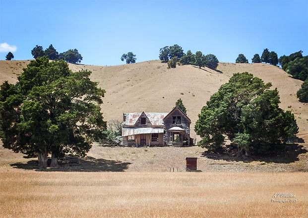 Wakefield Cottage, Wakefield, Tasman