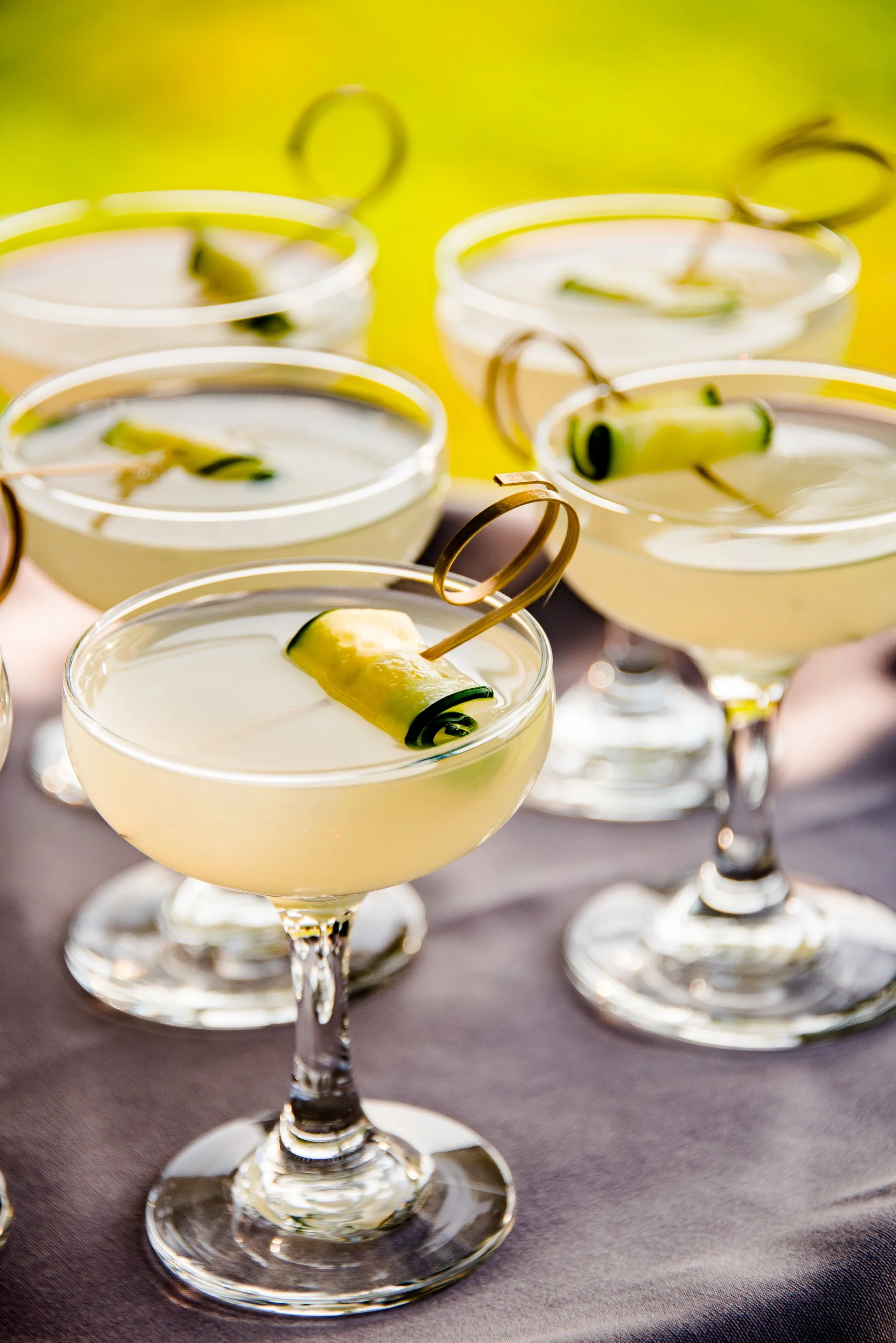 Copy of TAO-PartyPinot.2019.DeSomer-25.jpg