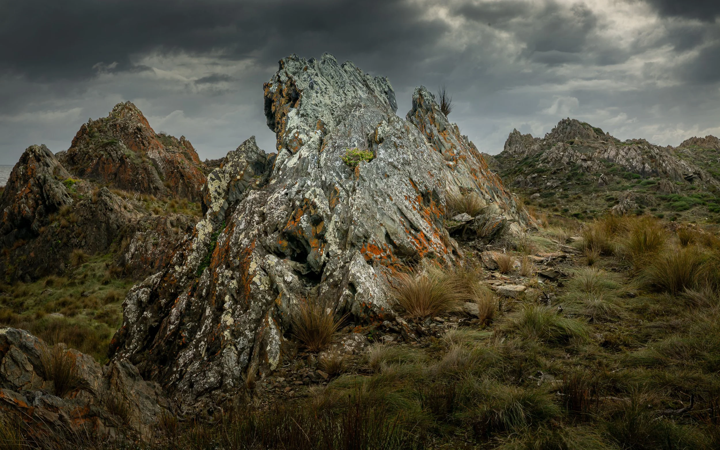 tarkine-coastal-rocky-2026-07-20.jpg