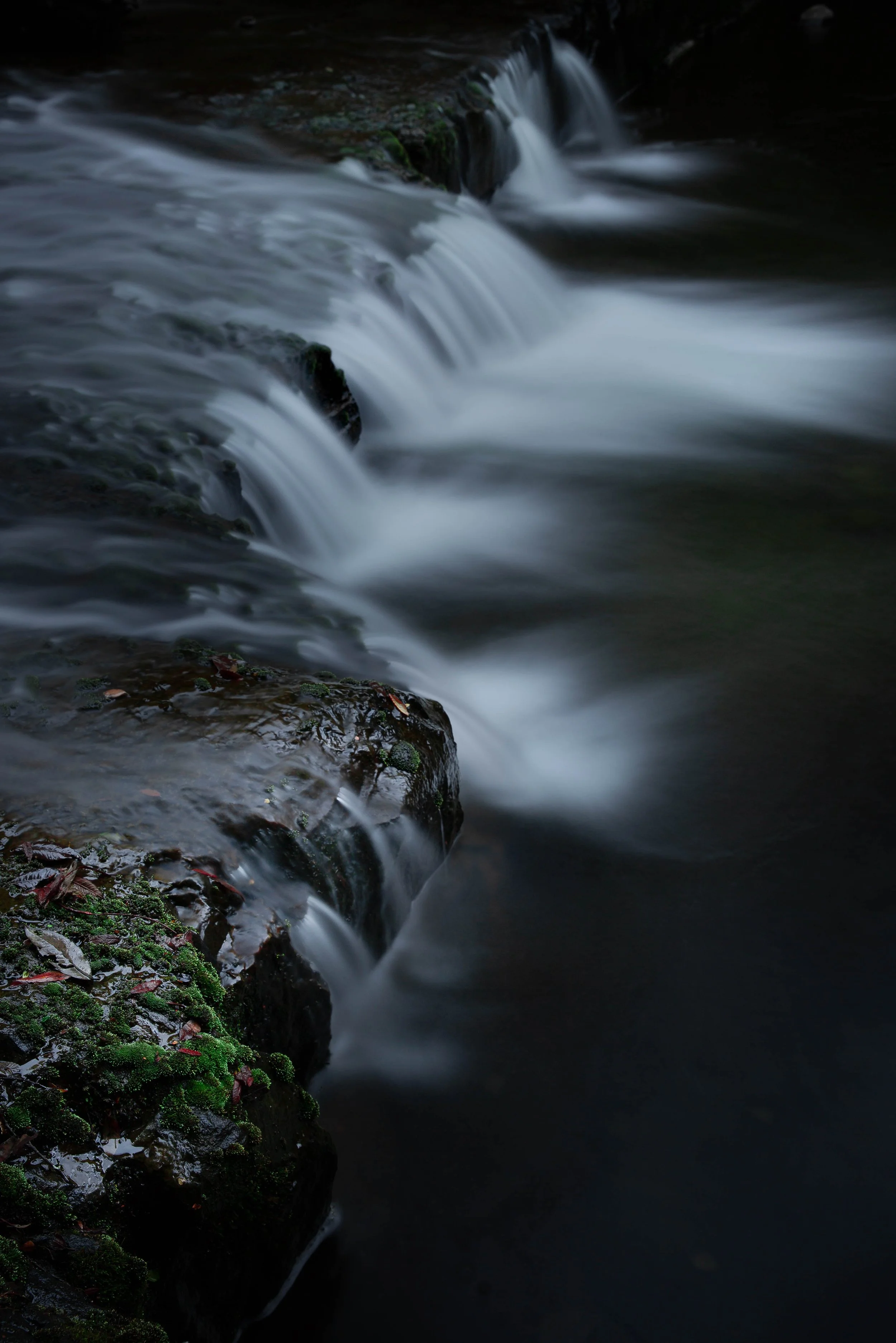 0K9A4415-Edit.jpg
