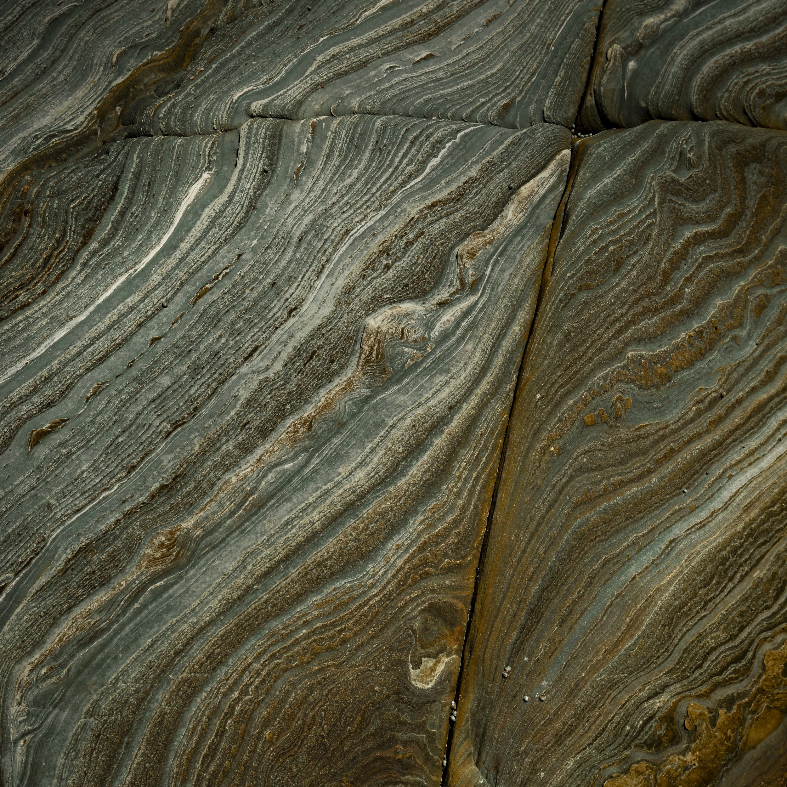 Abstract