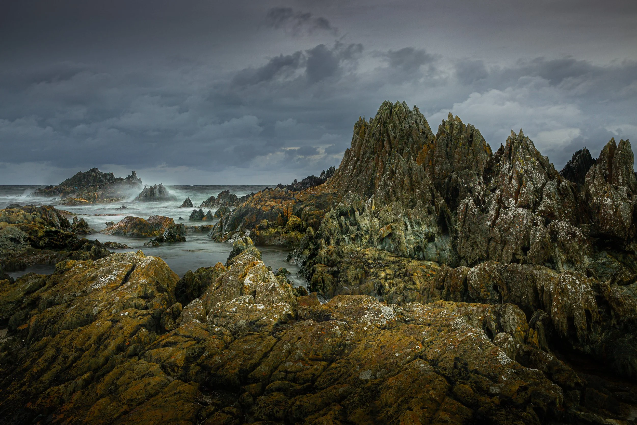 tarkine-coastal-rocky-wild-2026-07-20.jpg