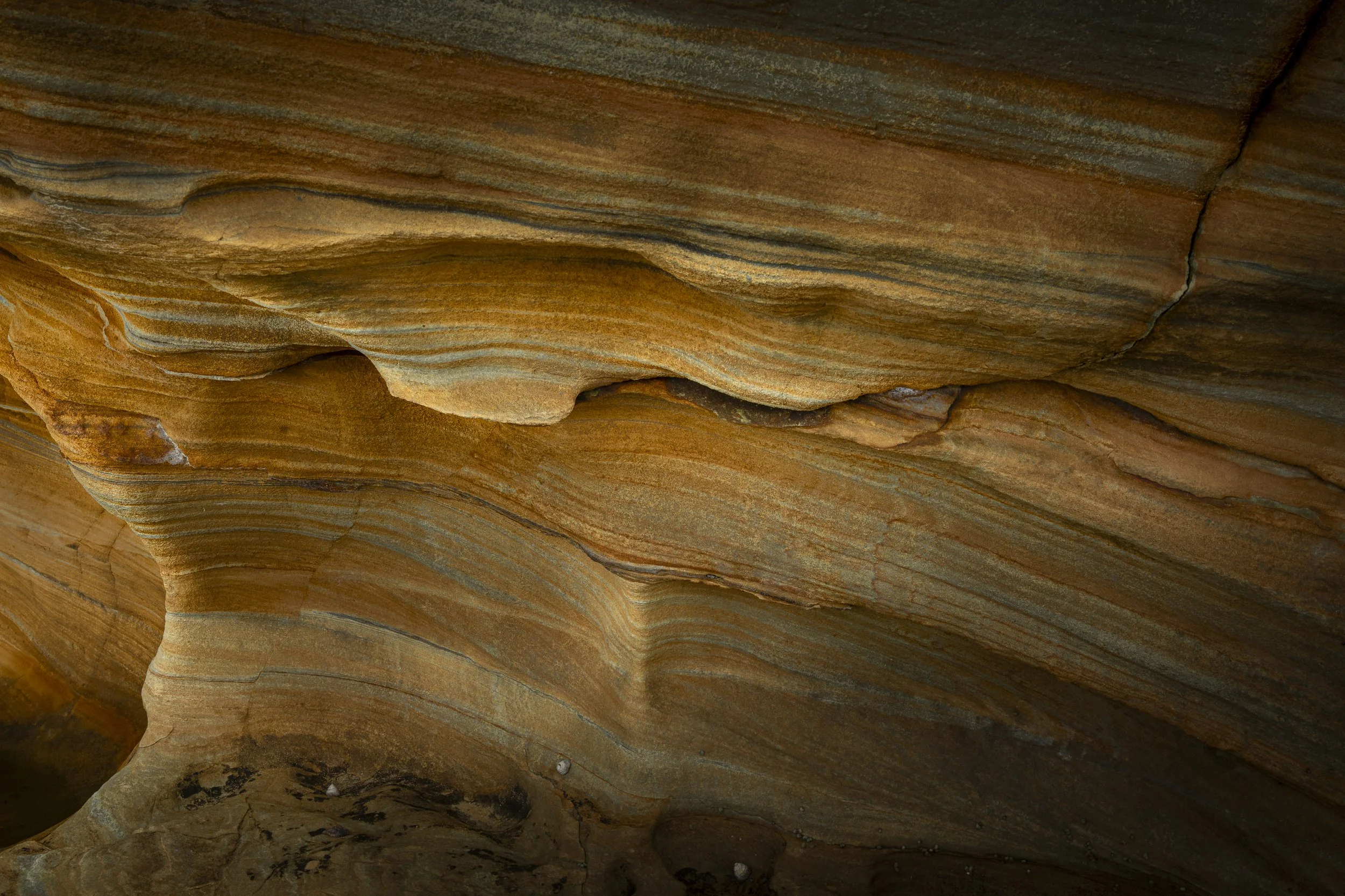 Sandstone Veins