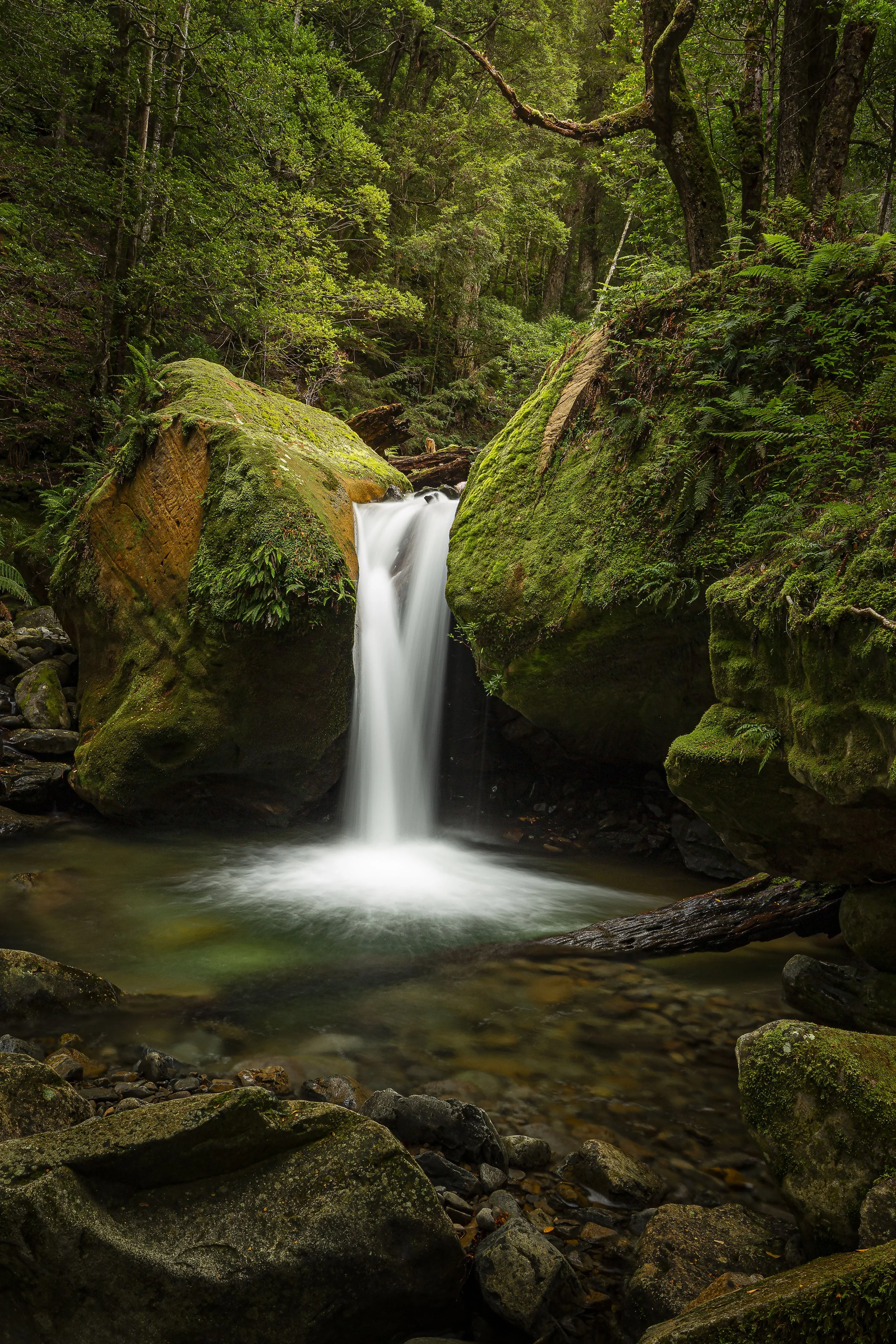                                           

Wilderness Flow