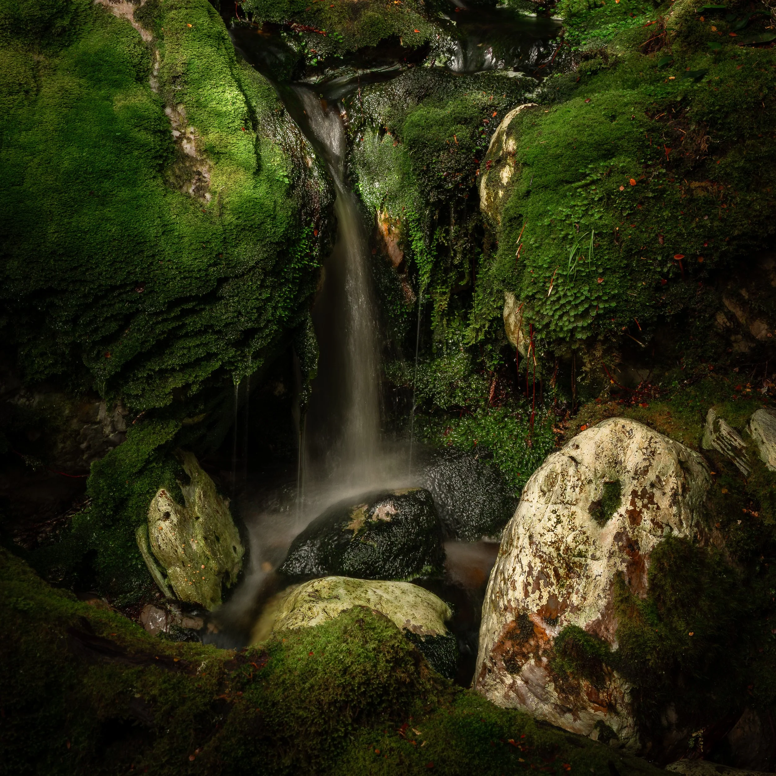 cradle-mountain-waterfall-moody-landscape-2026-04-19.jpg