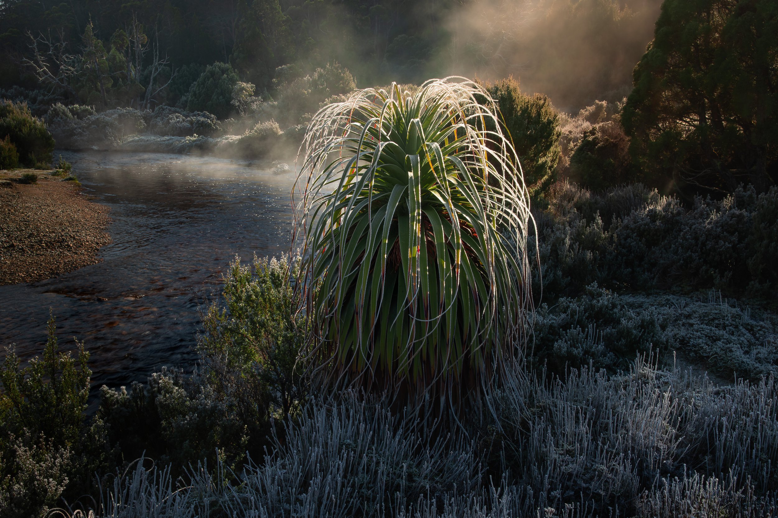 cradle-mountain-first-light.jpg