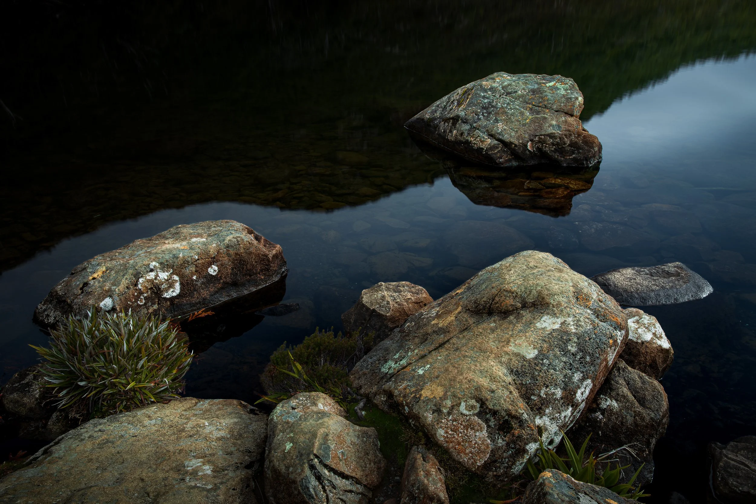 tasmania-hartz-mountains-2026-05-24.jpg