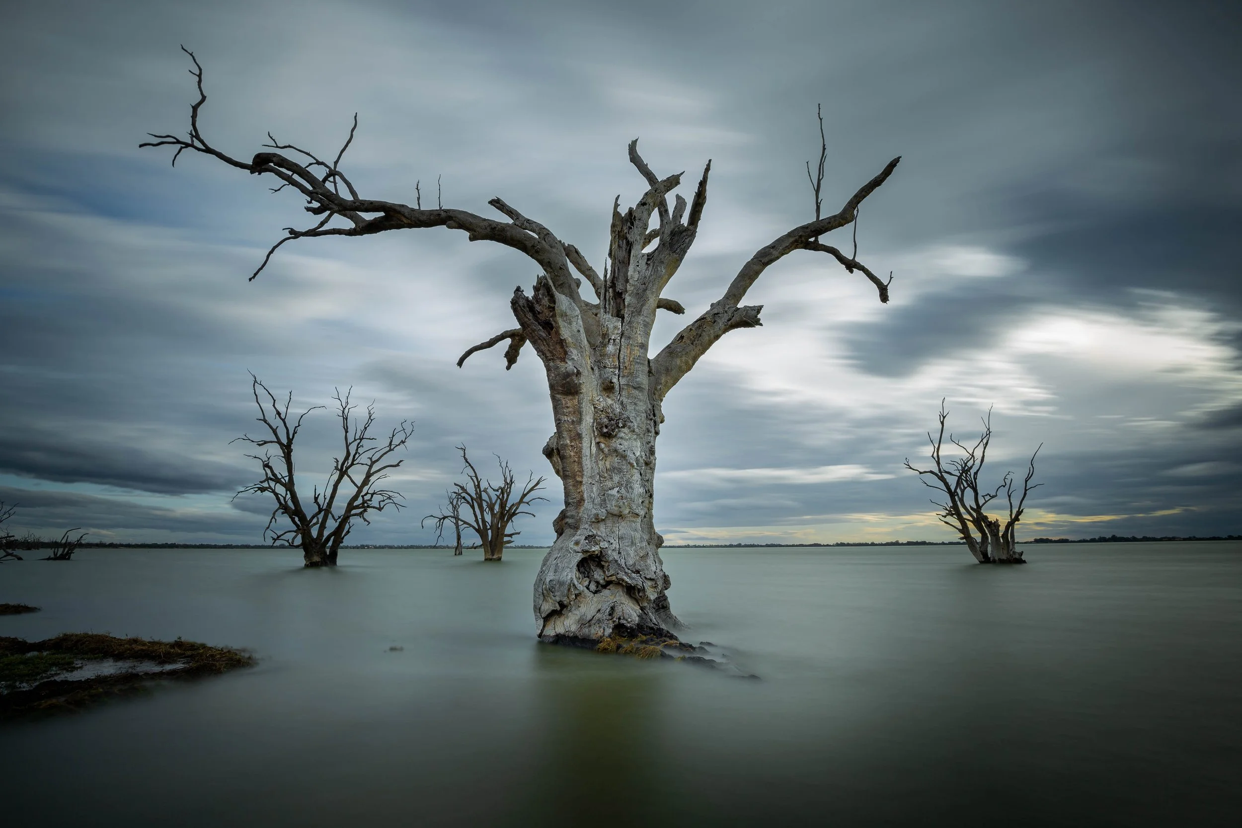 Solitary Form 