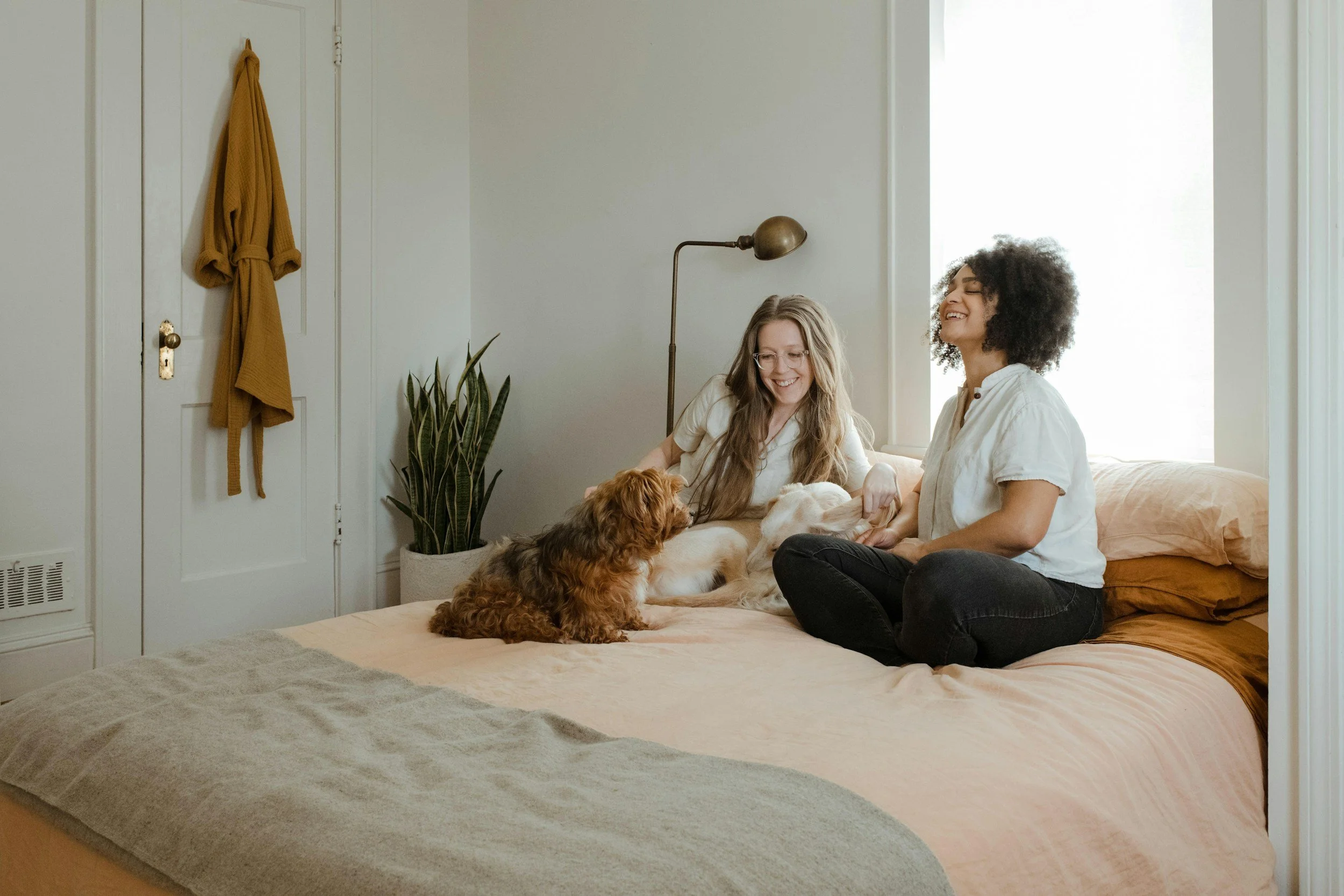 Two women sitting on a bed with dogs, laughing and playing together in a bright bedroom.