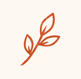 Simple illustration of a plant branch with three leaves