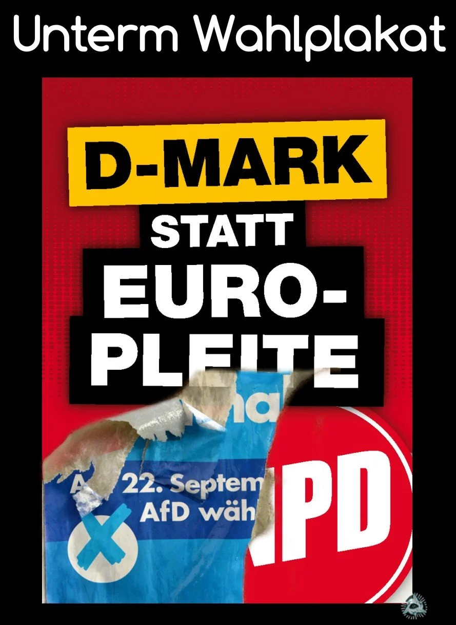 unterm-Wahlplakat-afd-npd.jpg