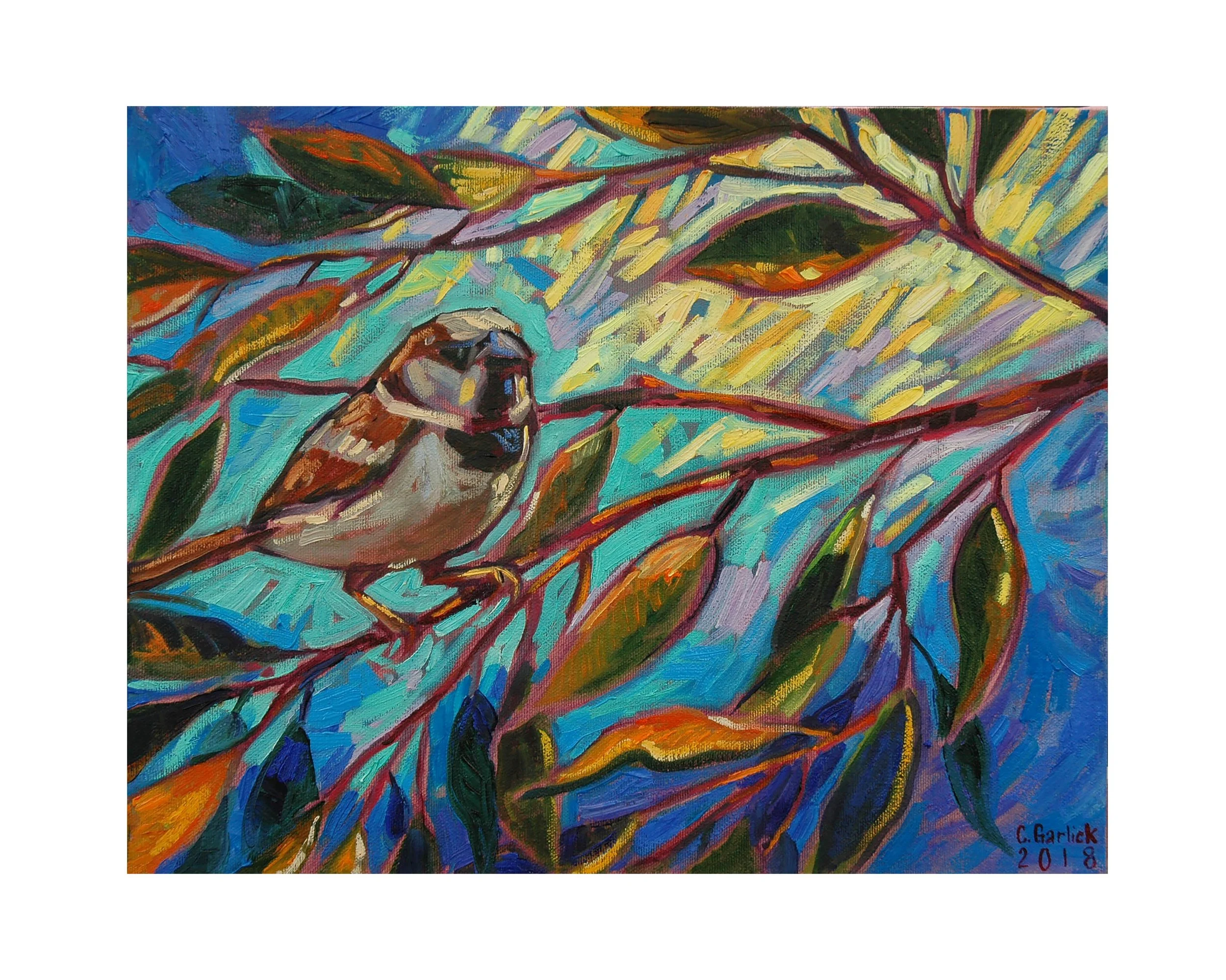 Colour_Sparrow.jpg
