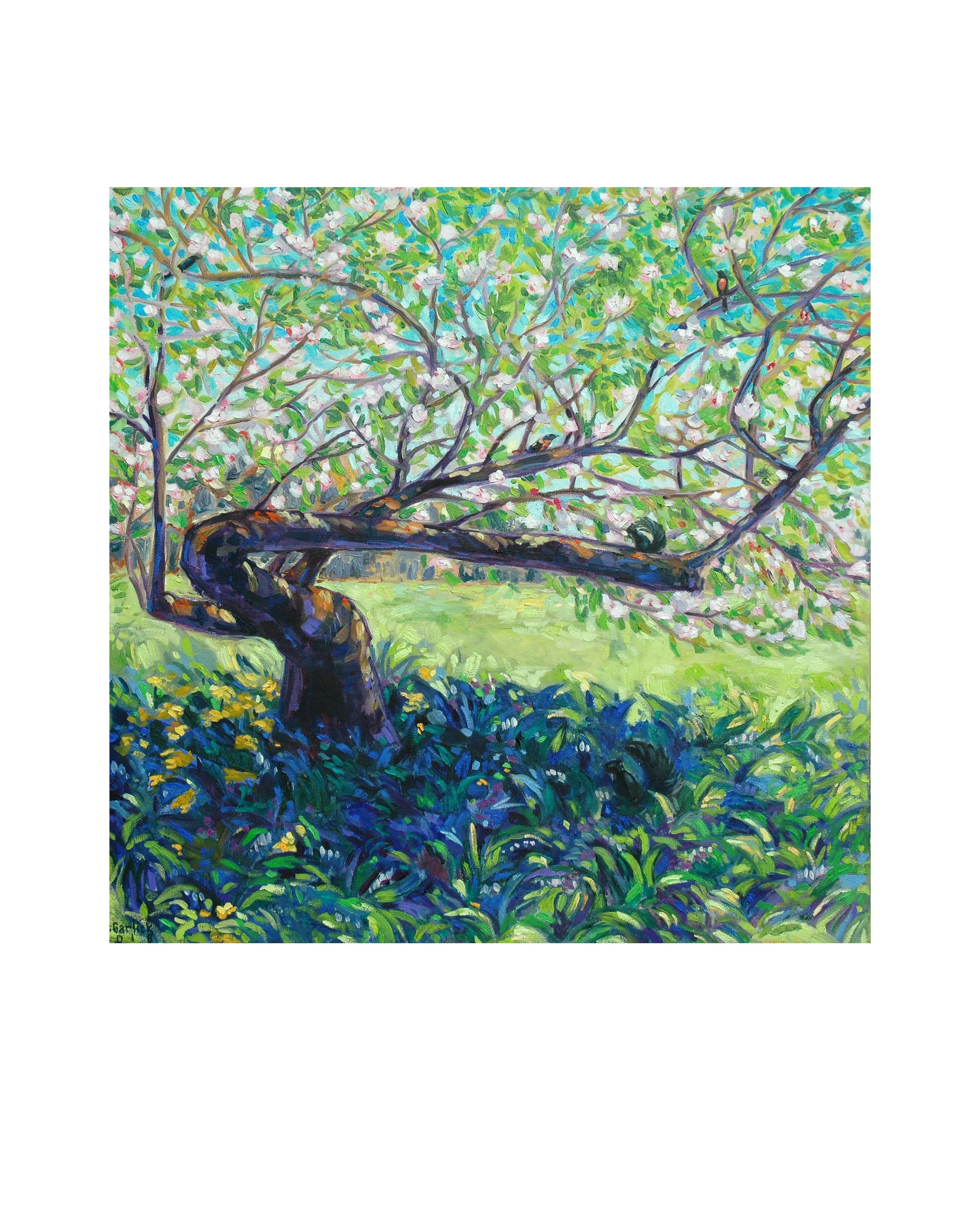 Apple_Tree.jpg
