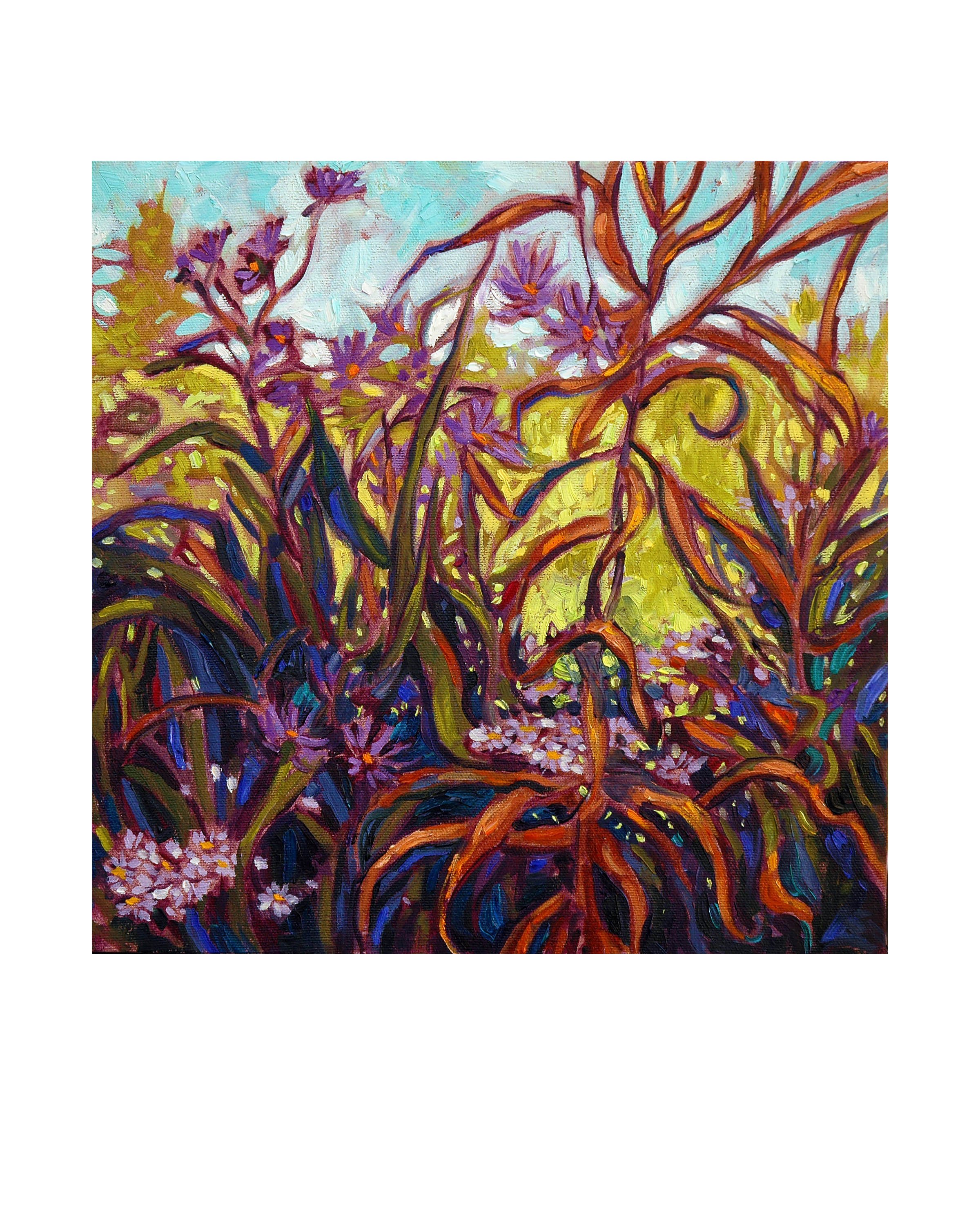 Meadow_Plants.jpg