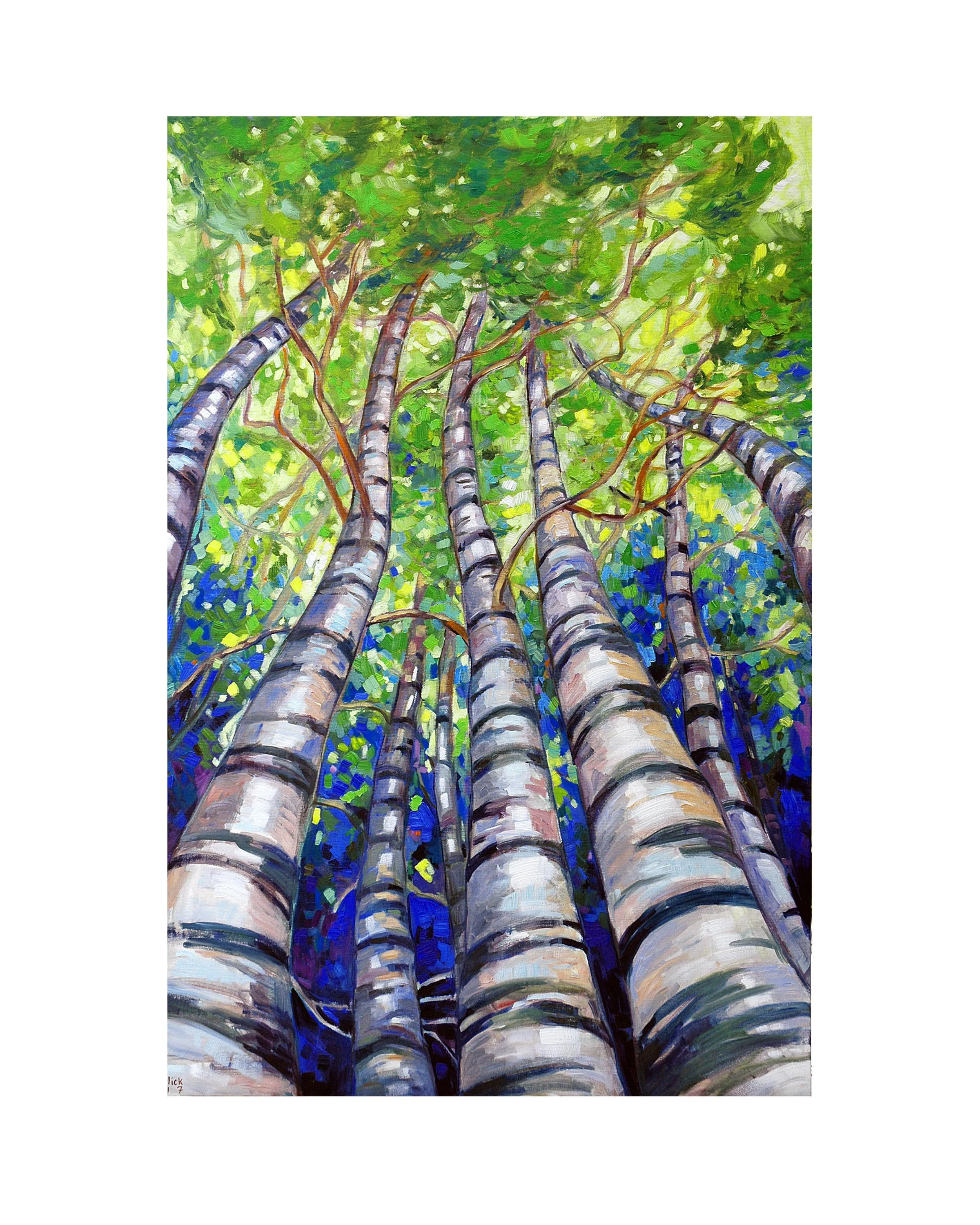 Wavering Birches.jpg