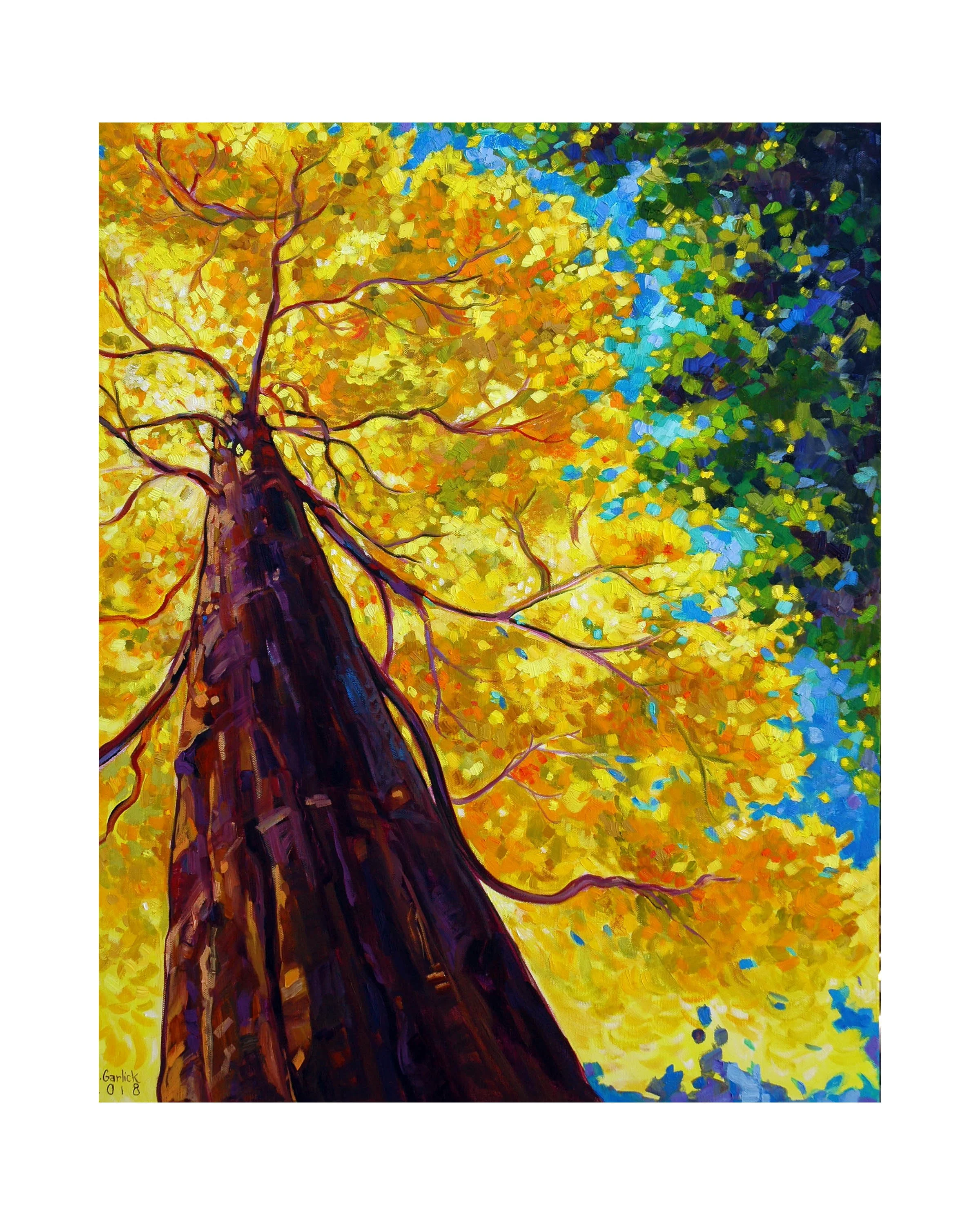 Fall_Maple.jpg