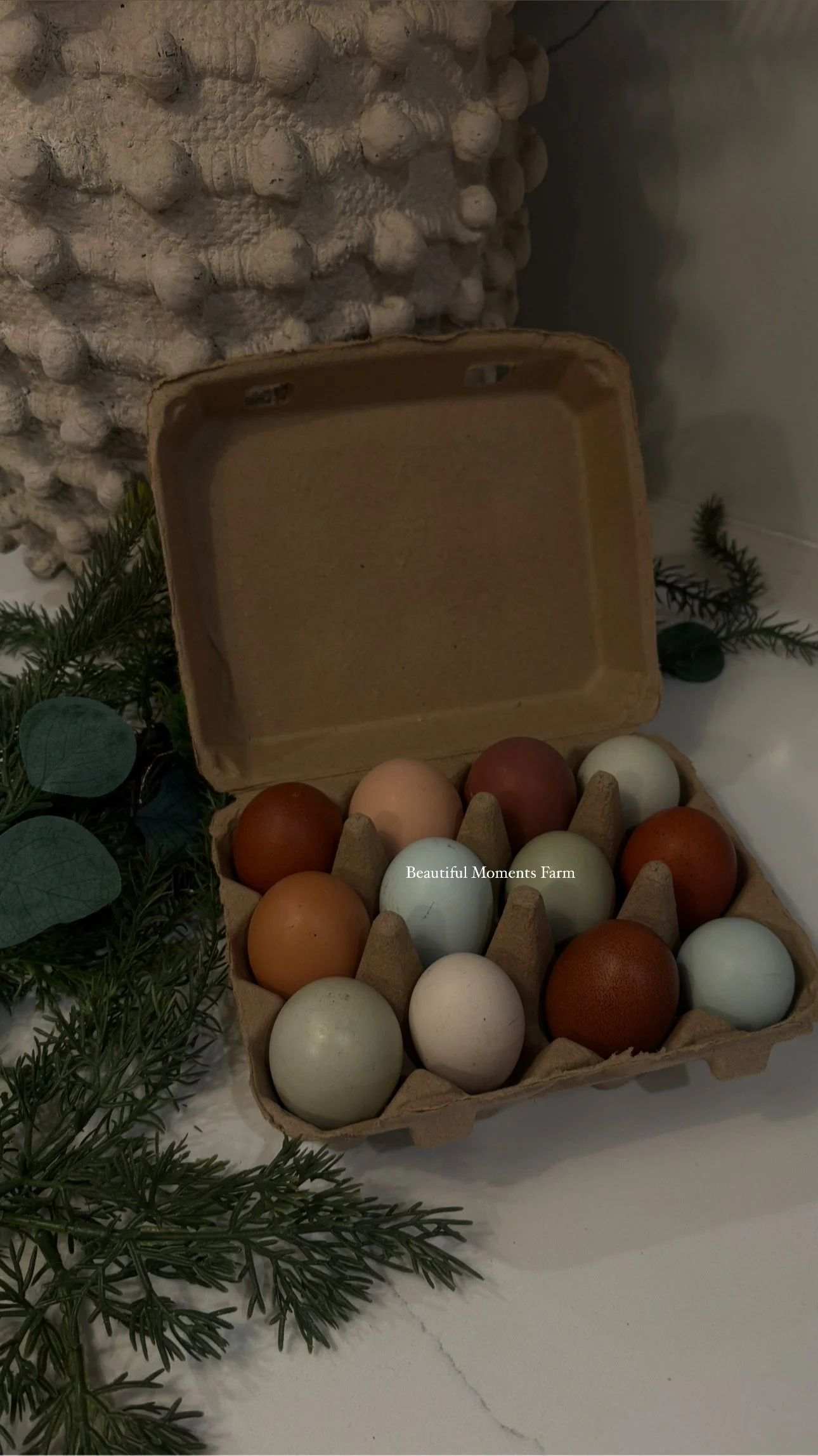 Rainbow Dozen Fertile Eggs