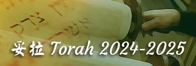 Button for Torah videos 2024-2025