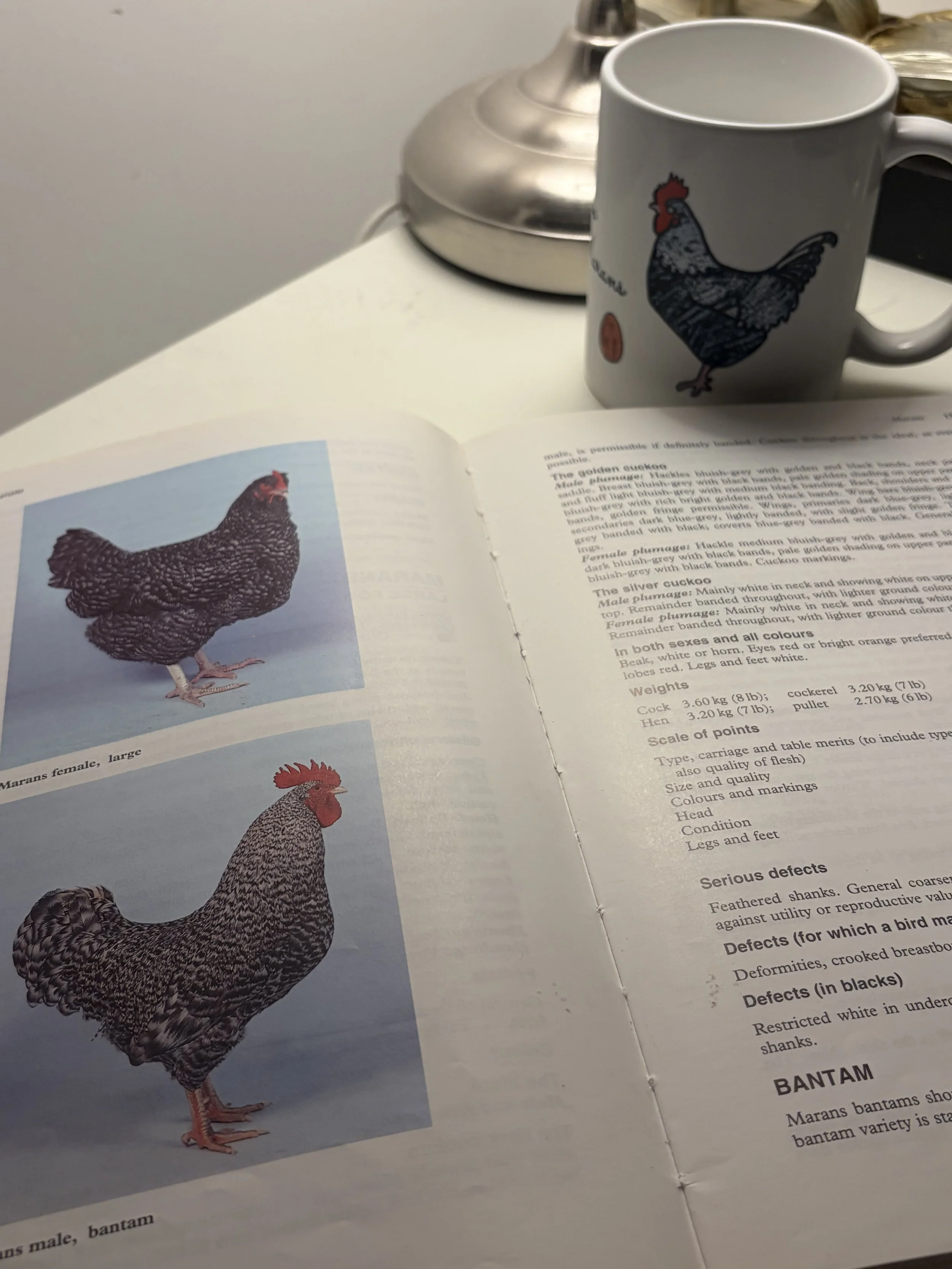British Poultry Standards open beside a Marans mug