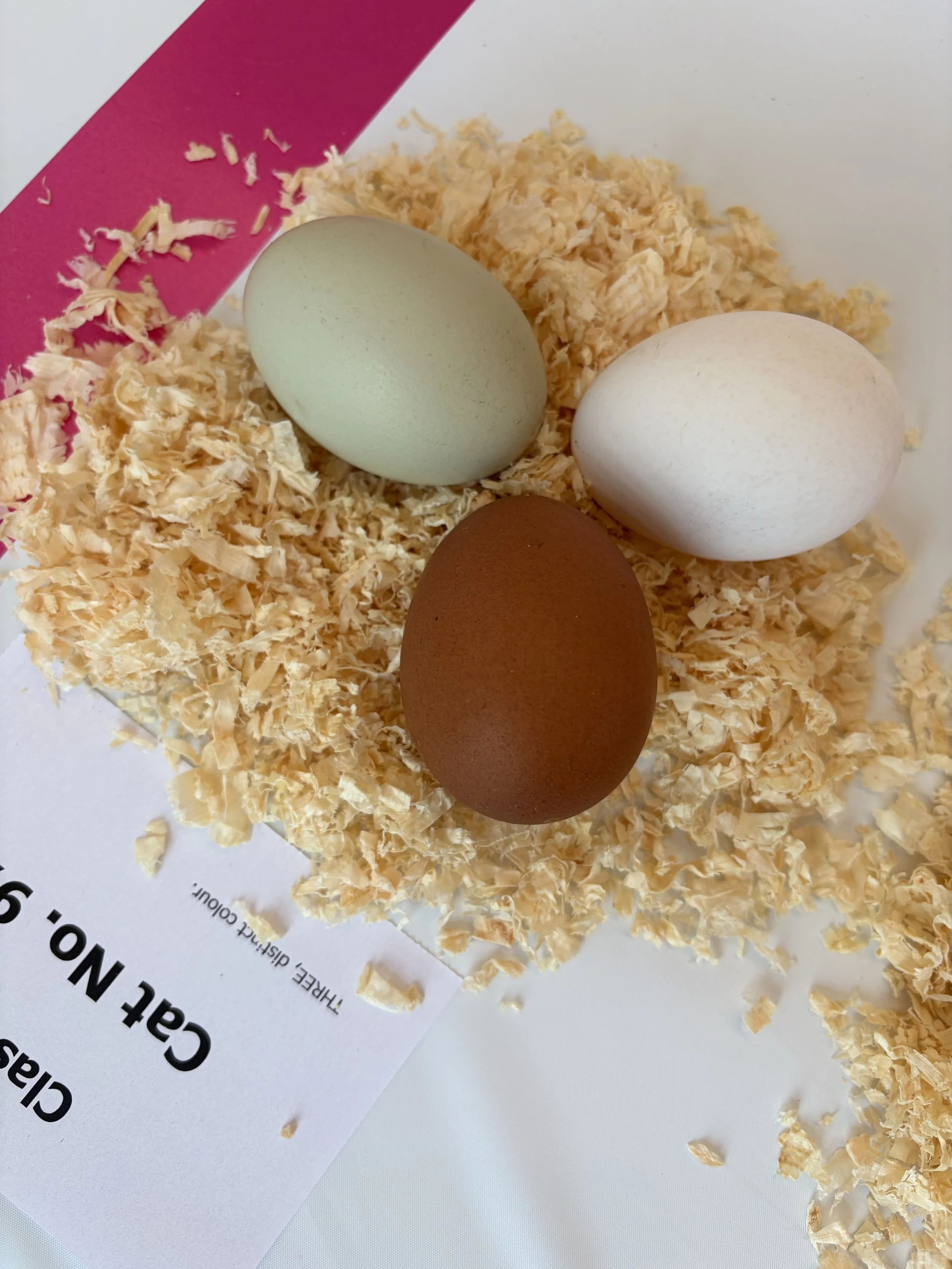 A further three-distinct-colour egg entry from Scully Poultry