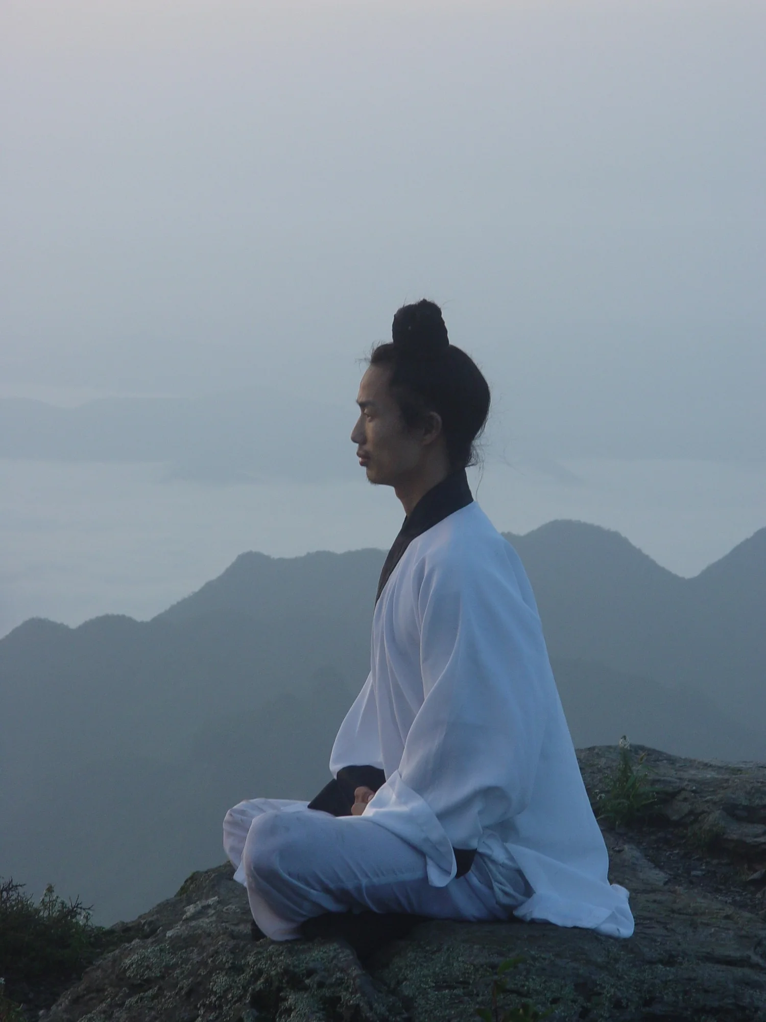 Wudang Five Animals Qigong at Birdsland