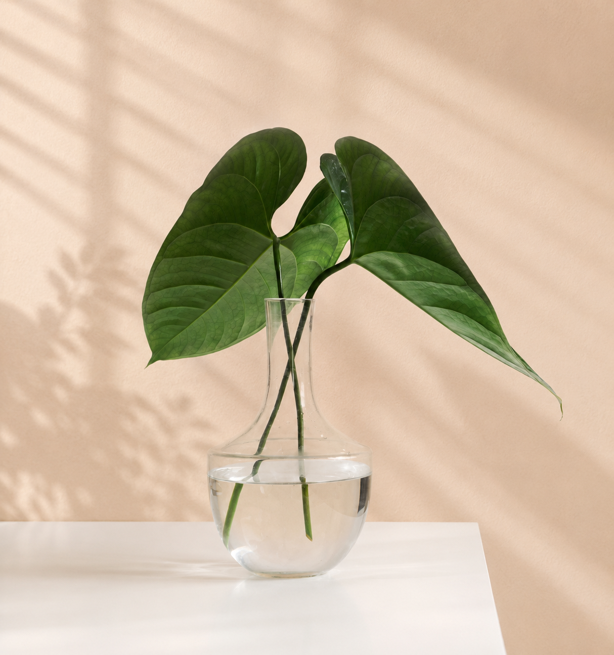 A clear glass vase with water holding three large green leaves from a tropical plant, set against a beige background with soft shadows.