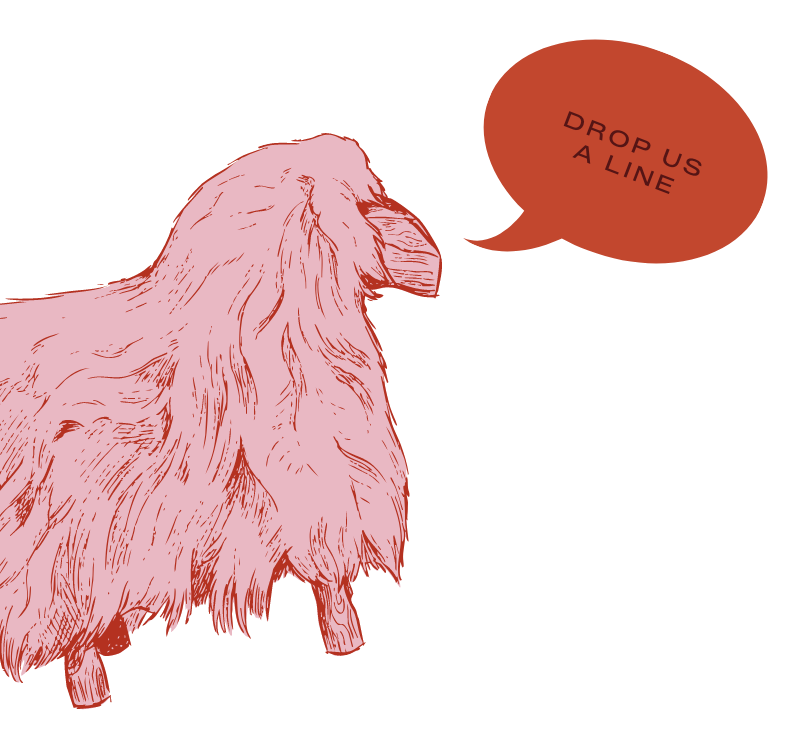Drop Us A Line Sheep
