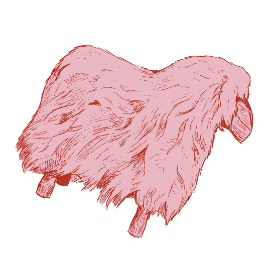Illustration of a pink sheep