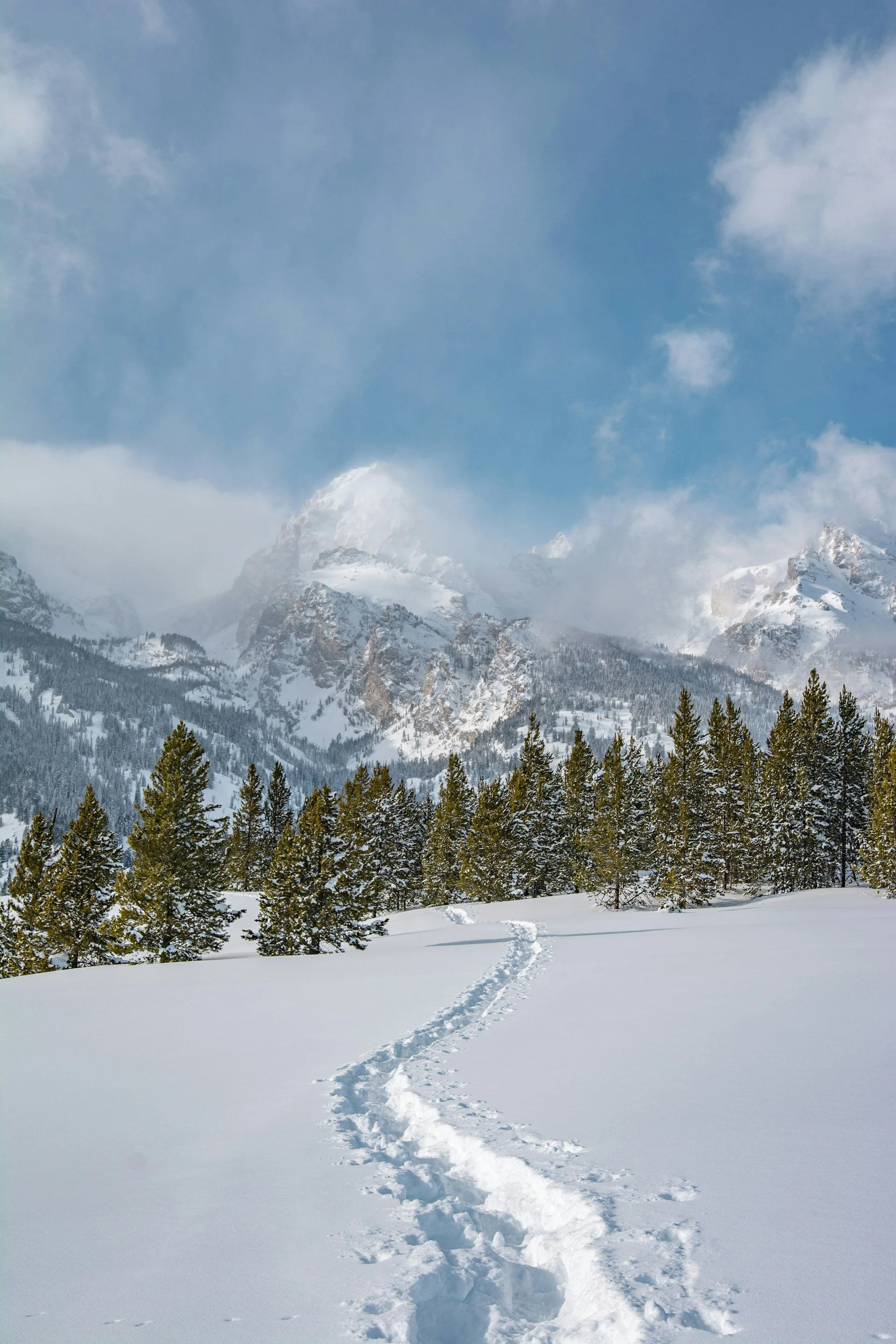 Snow-covered landscape with footprints leading towards a forest of pine trees, with tall snow-capped mountains and a partly cloudy sky in the background.