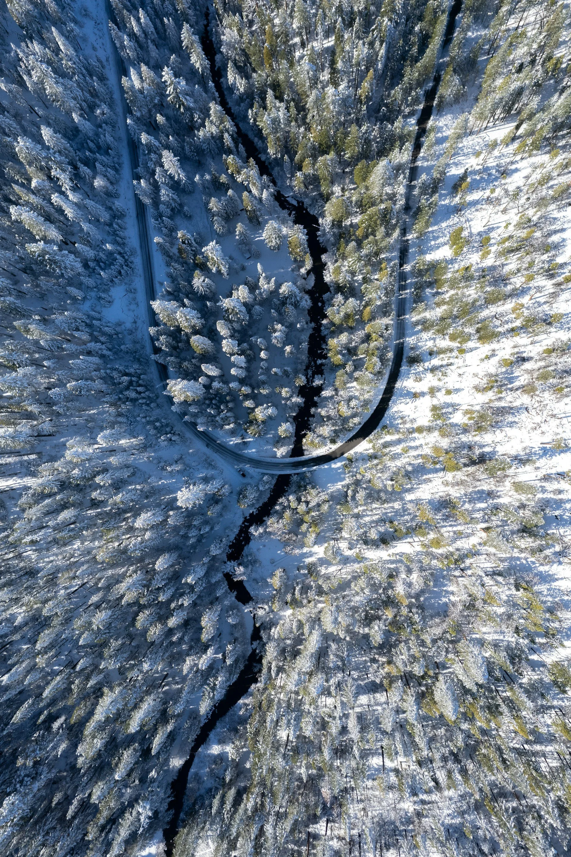 A snow-covered forest with a winding river running through it, viewed from above, with a road visible on the left side.