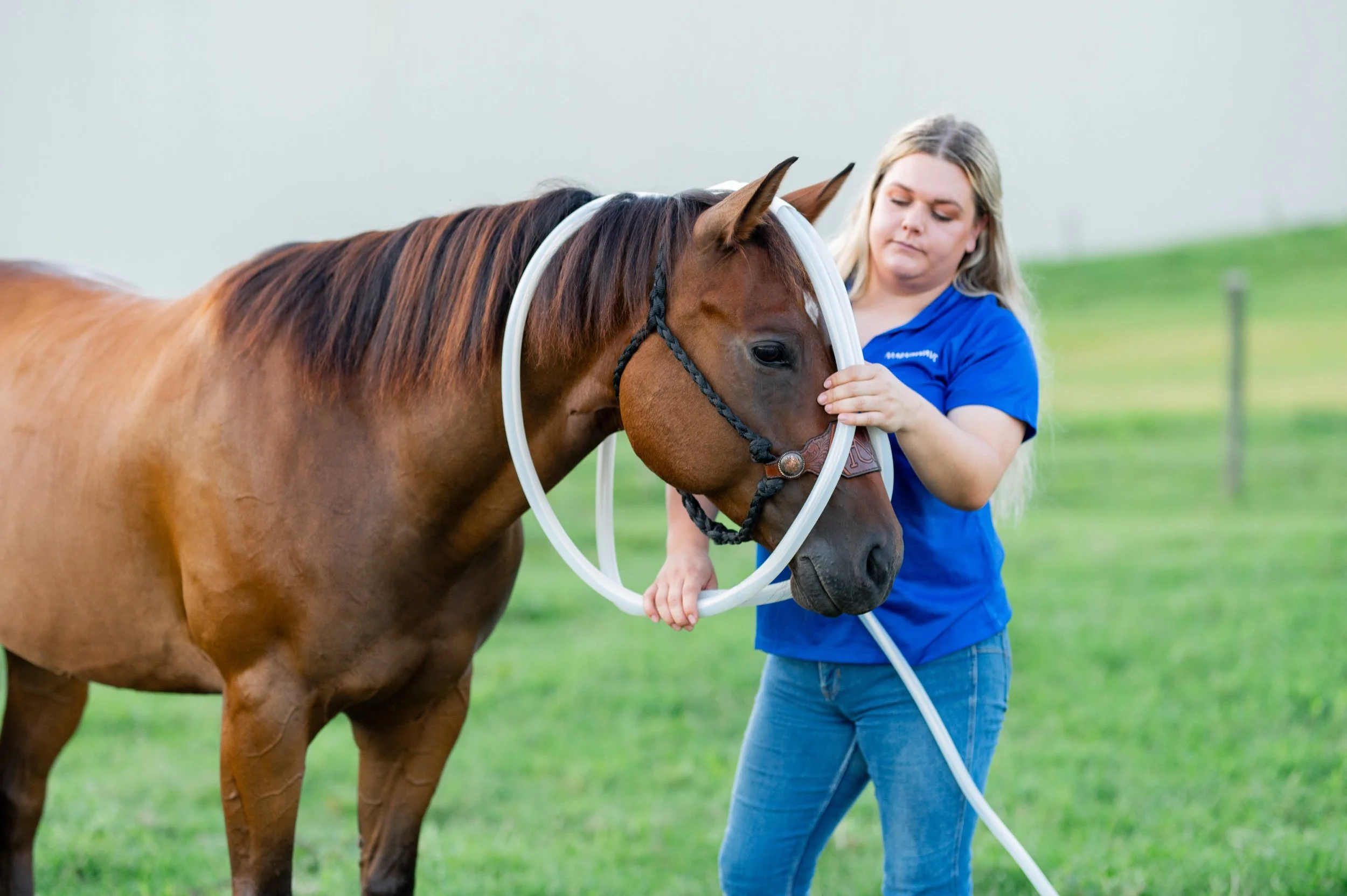 5 Magnawave Sessions