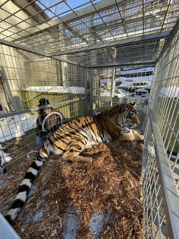 10 Magnawave Sessions