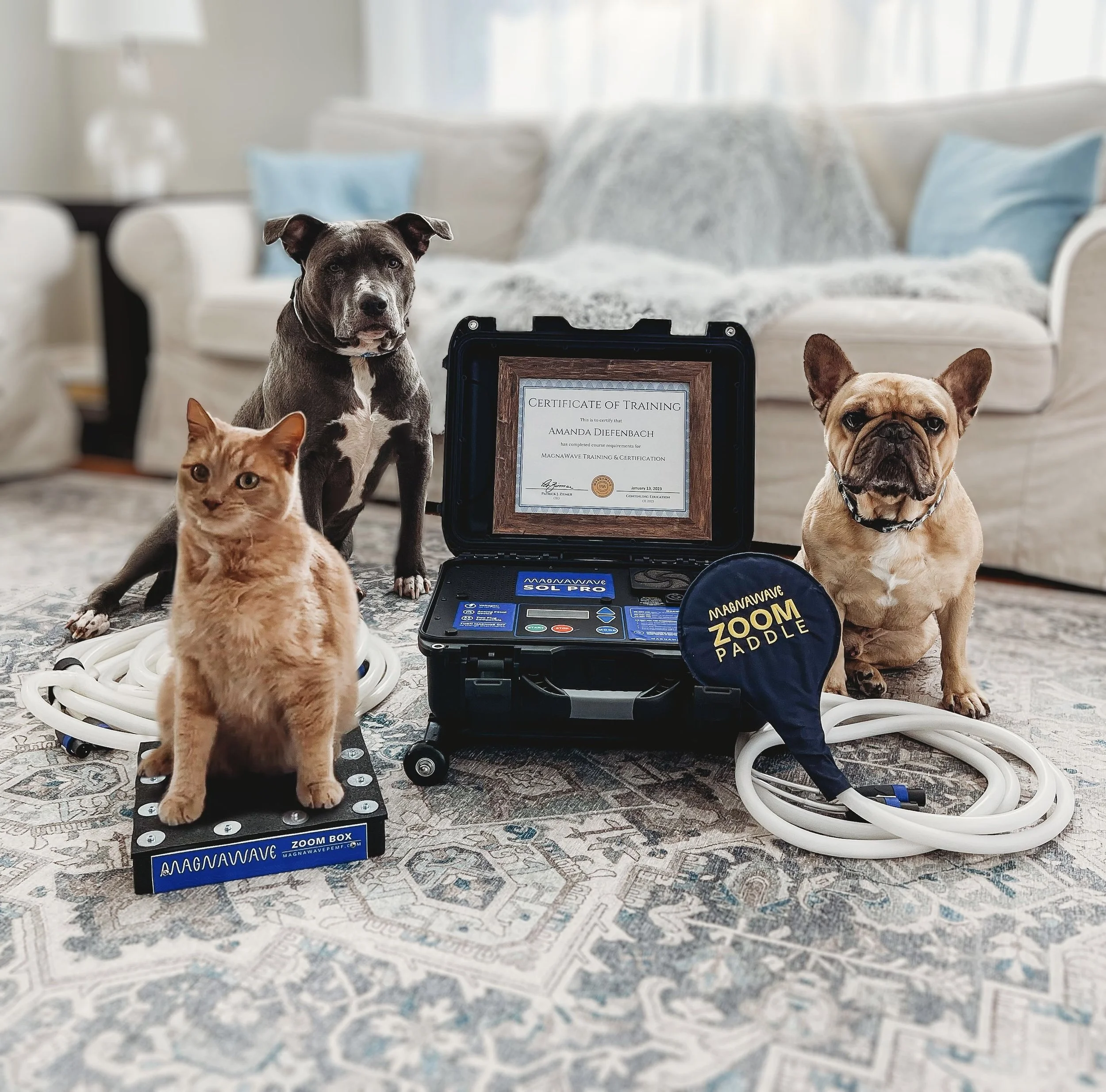 10 Small Animal Magnawave Sessions