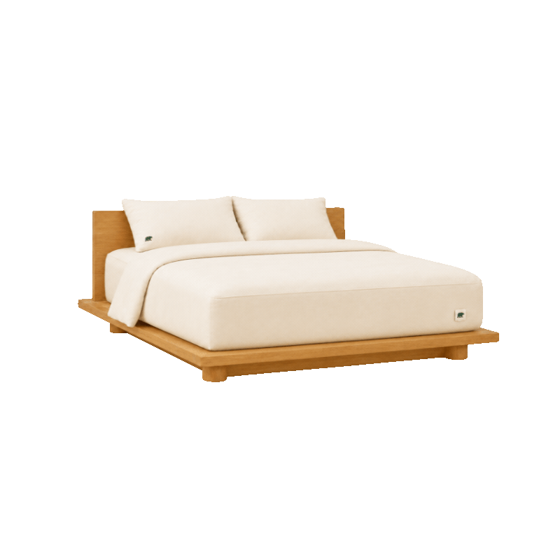 Hibernate- Your Season Of Rest, Every Night