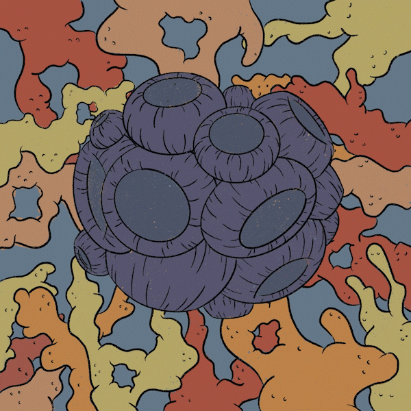 Barnacles | Procreate