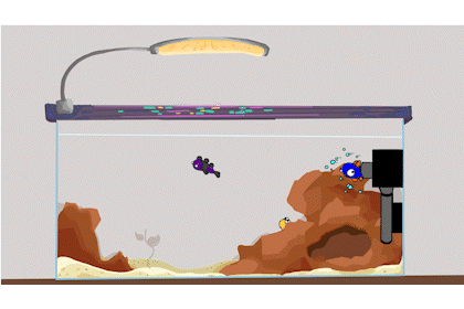 Fish Tank | Adobe Animate | Background & Plant Animation: Phoebe Ong